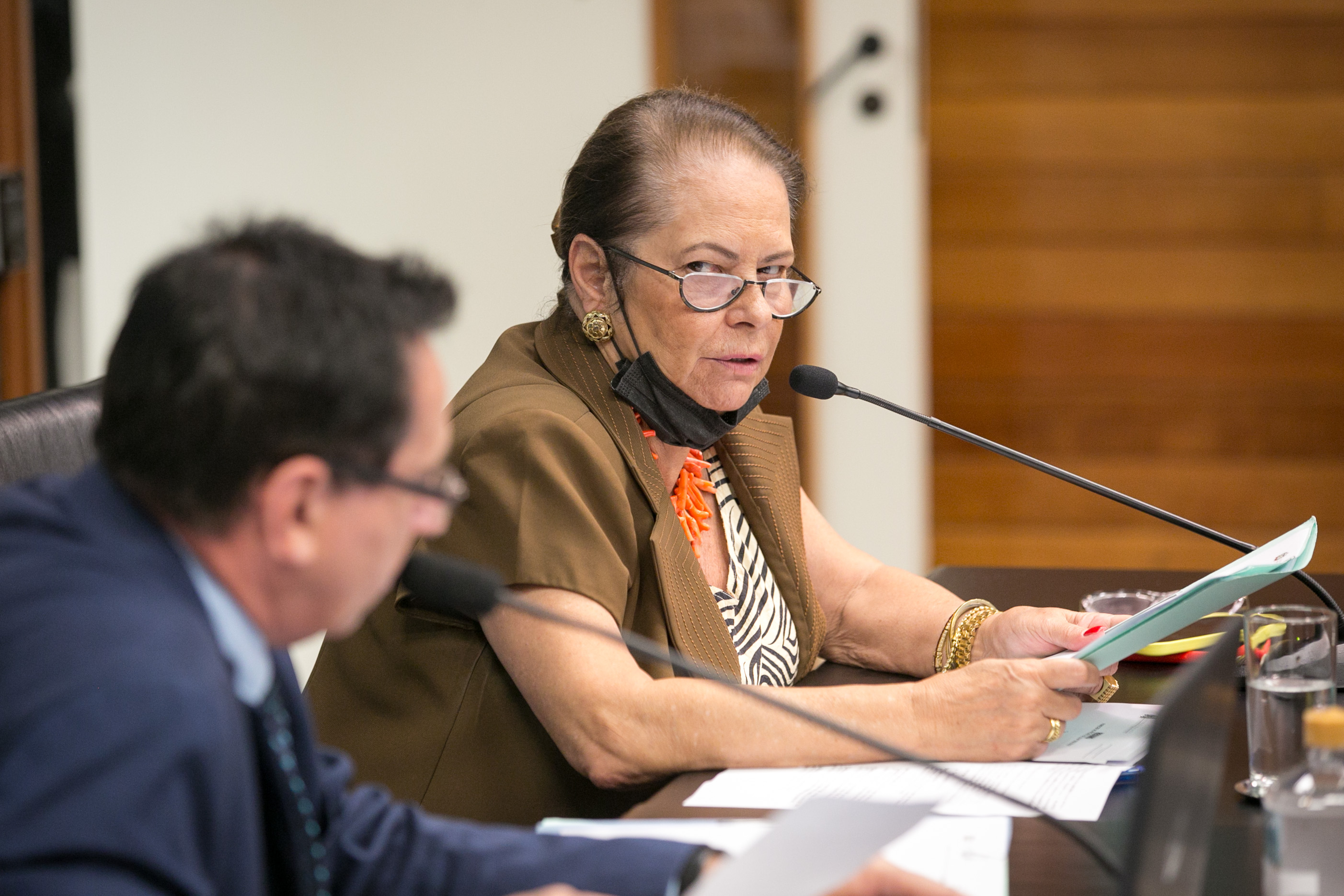 Deputada Ada De Luca (MDB)