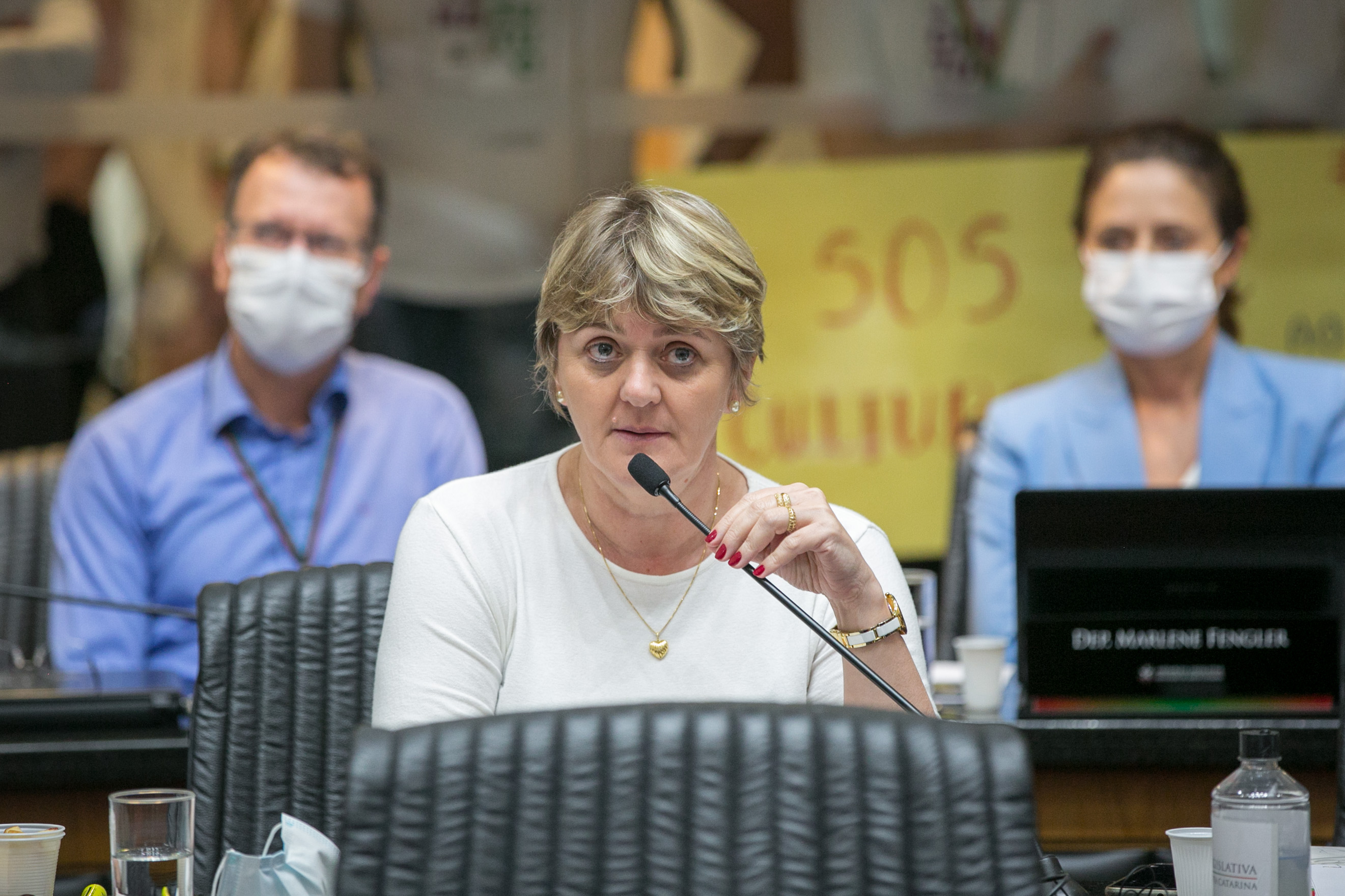 Deputada Luciane Carminatti (PT)
