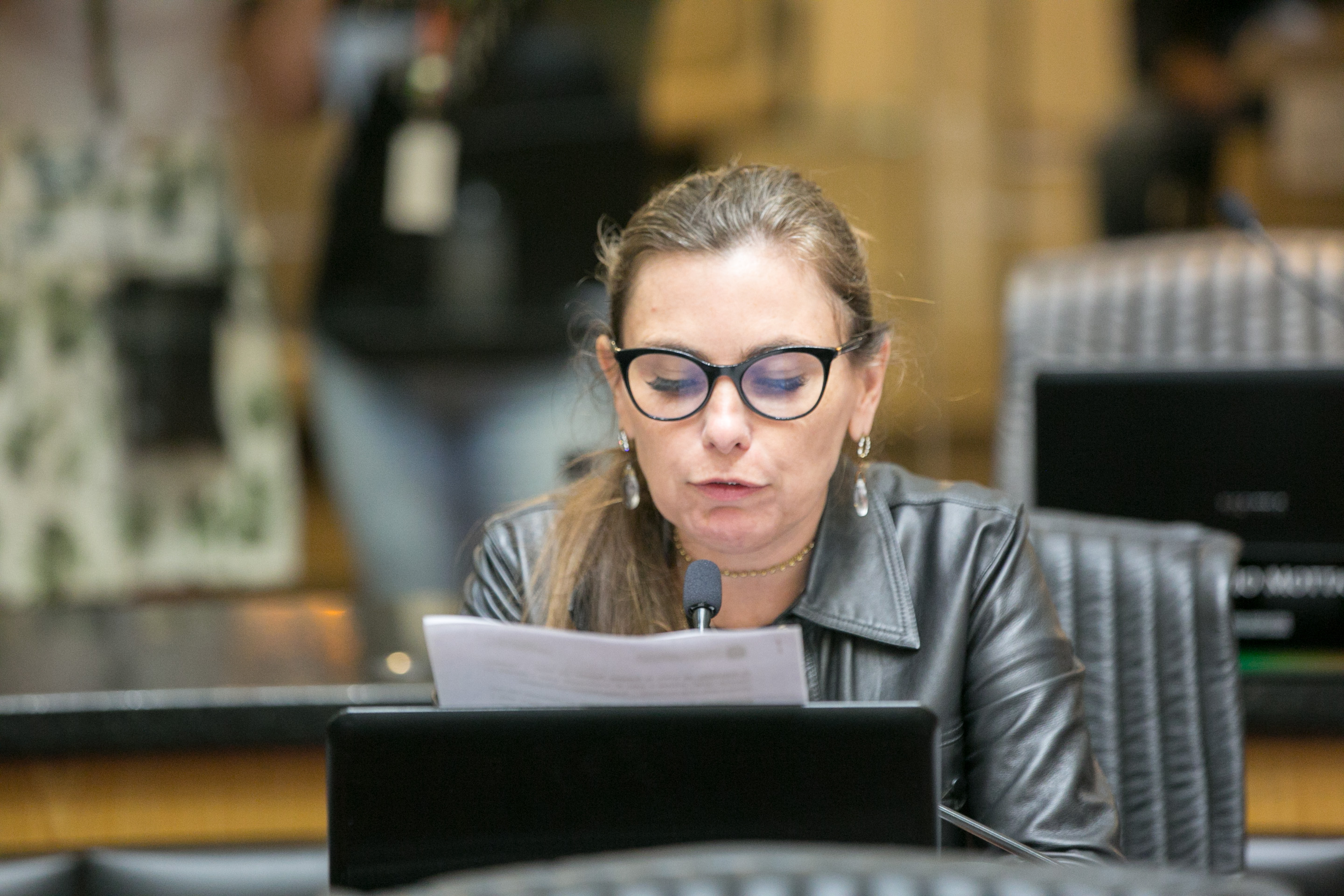 Deputada Paulinha (sem partido)