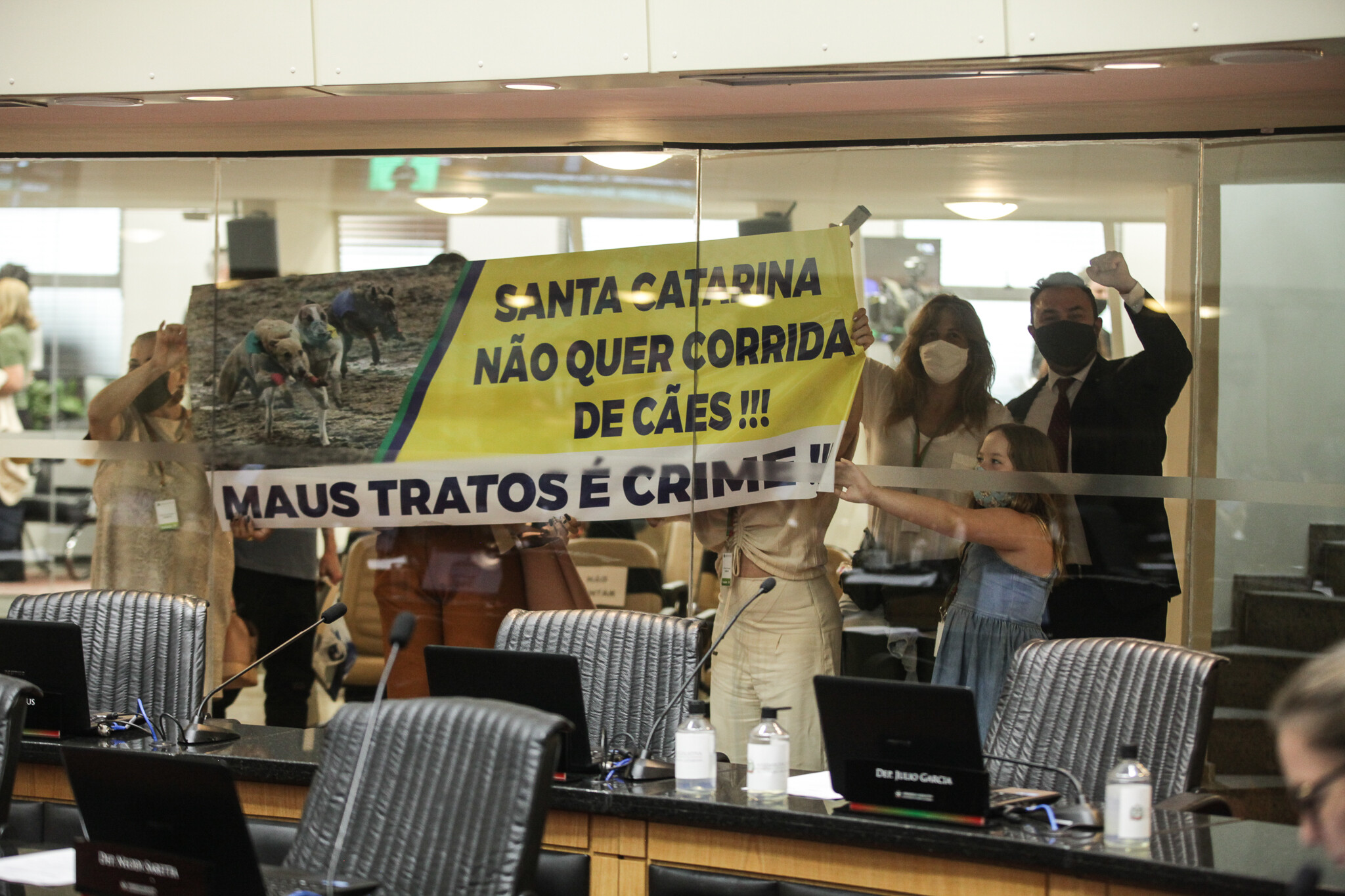 Plenário aprova projeto que proíbe corrida de cães em SC