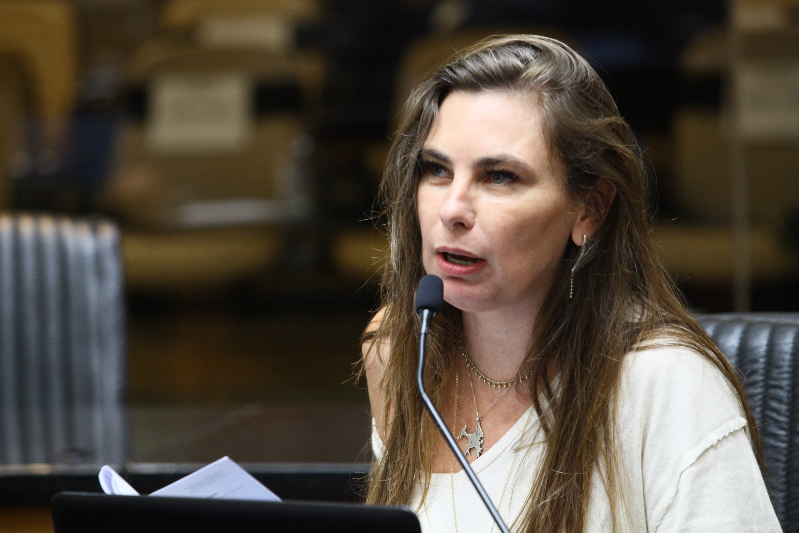 Sessão Ordinária - Deputada Ana Paula da Silva (Sem Partido)