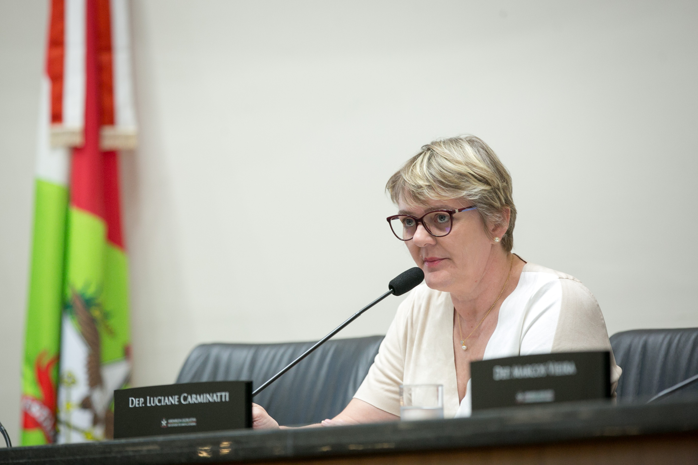 Deputada Luciane Carminatti (PT)