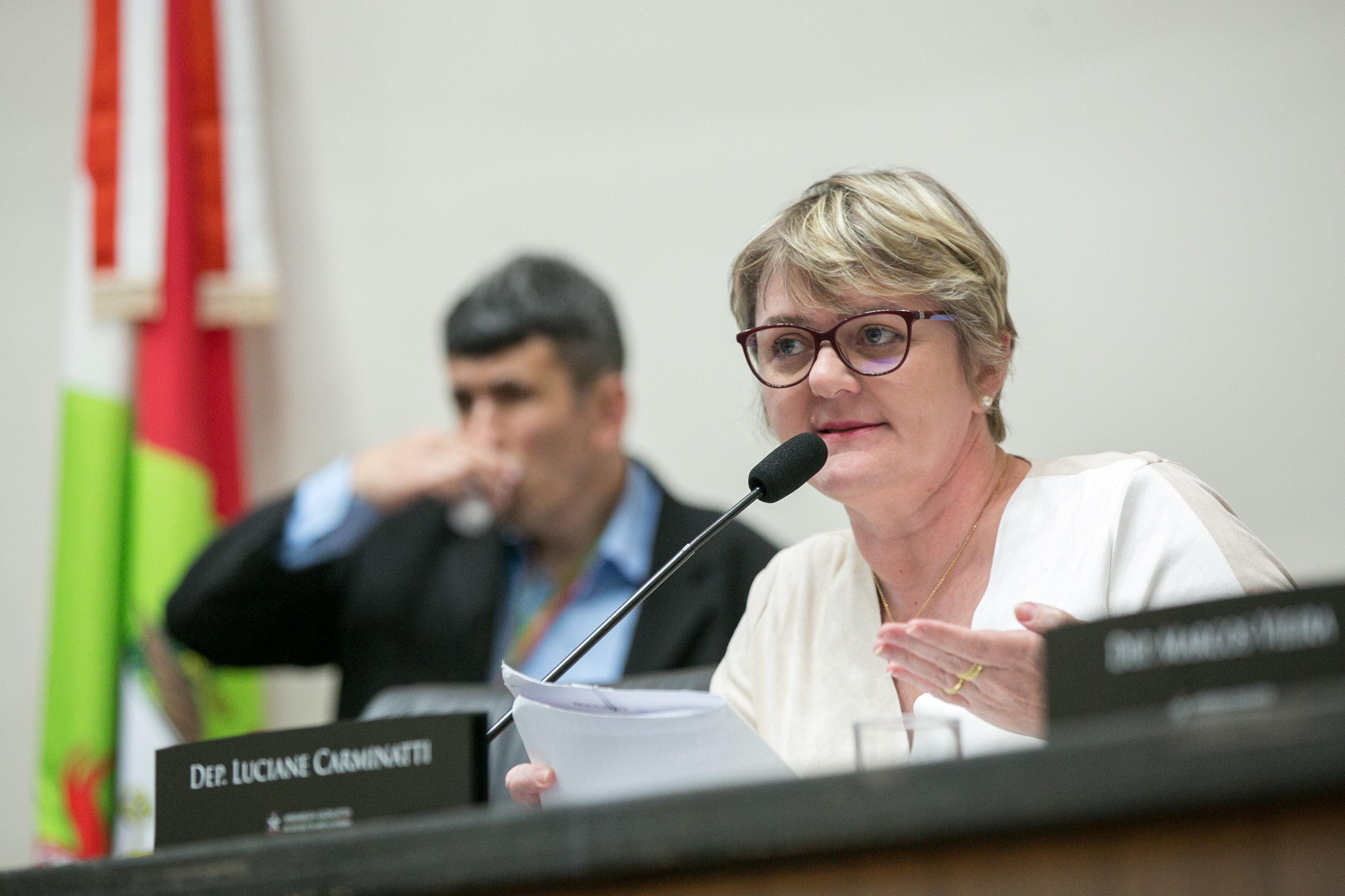 Deputada Luciane Carminatti (PT)