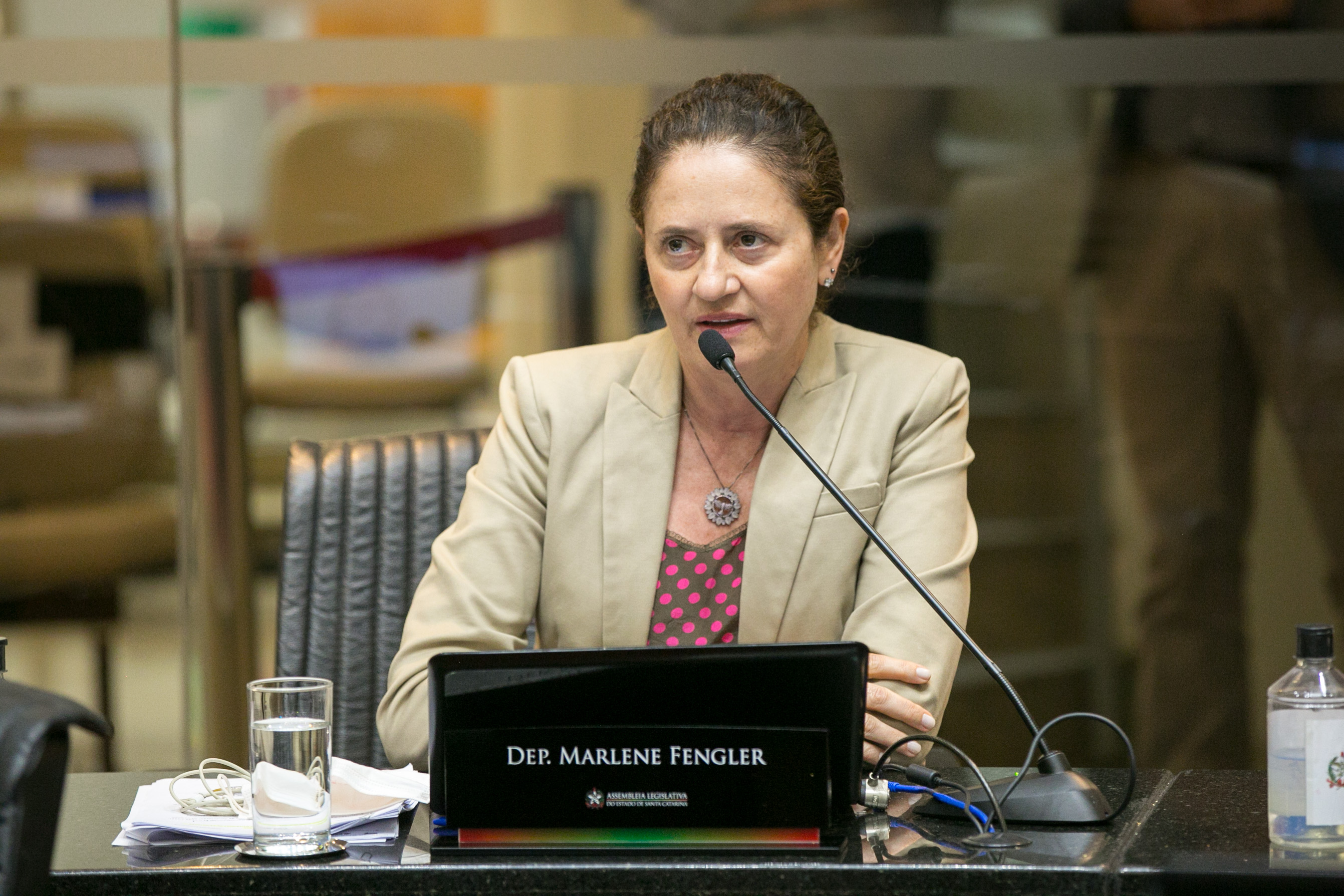 Deputada Marlene Fengler (PSD)