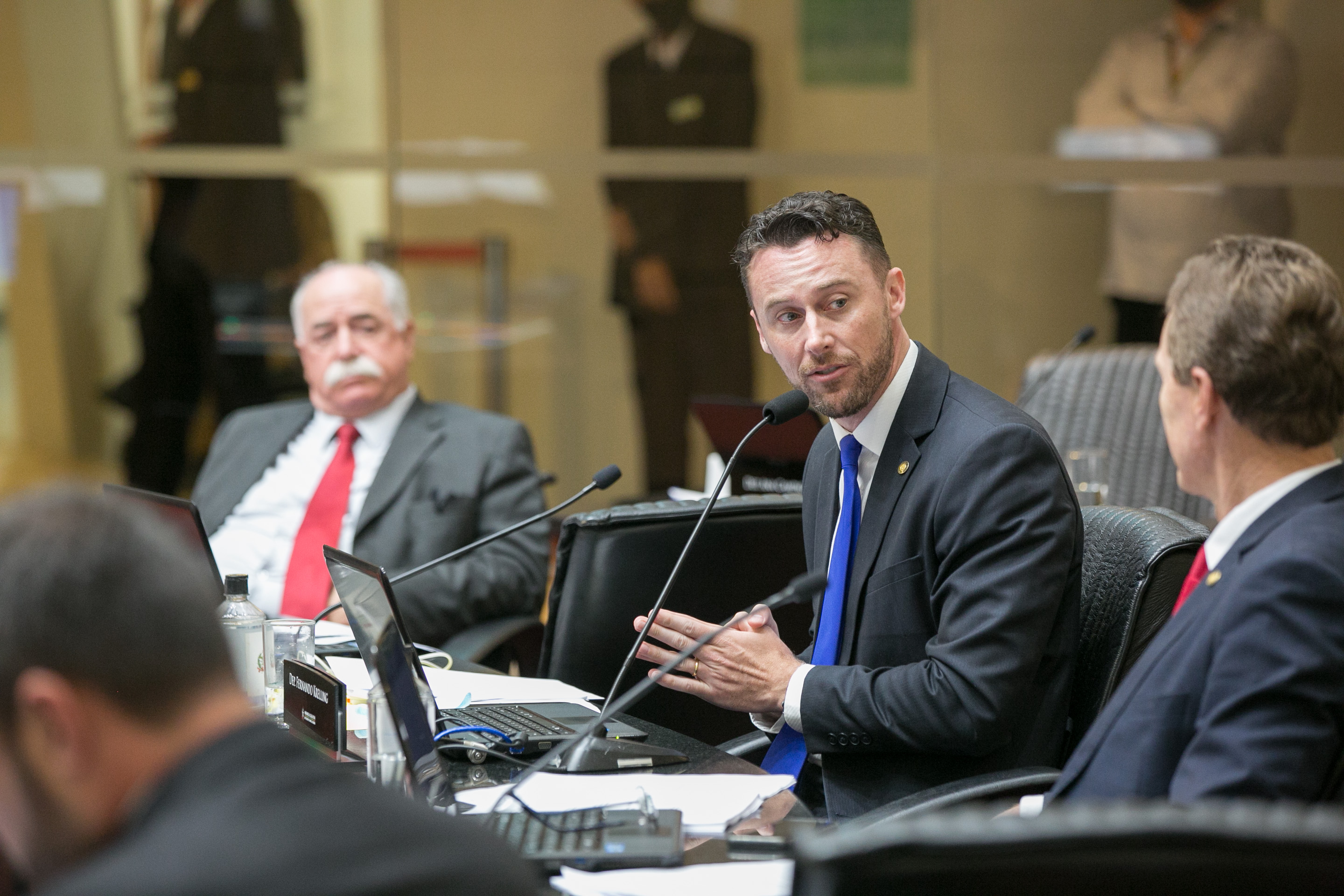 Deputado Fernando Krelling (MDB)