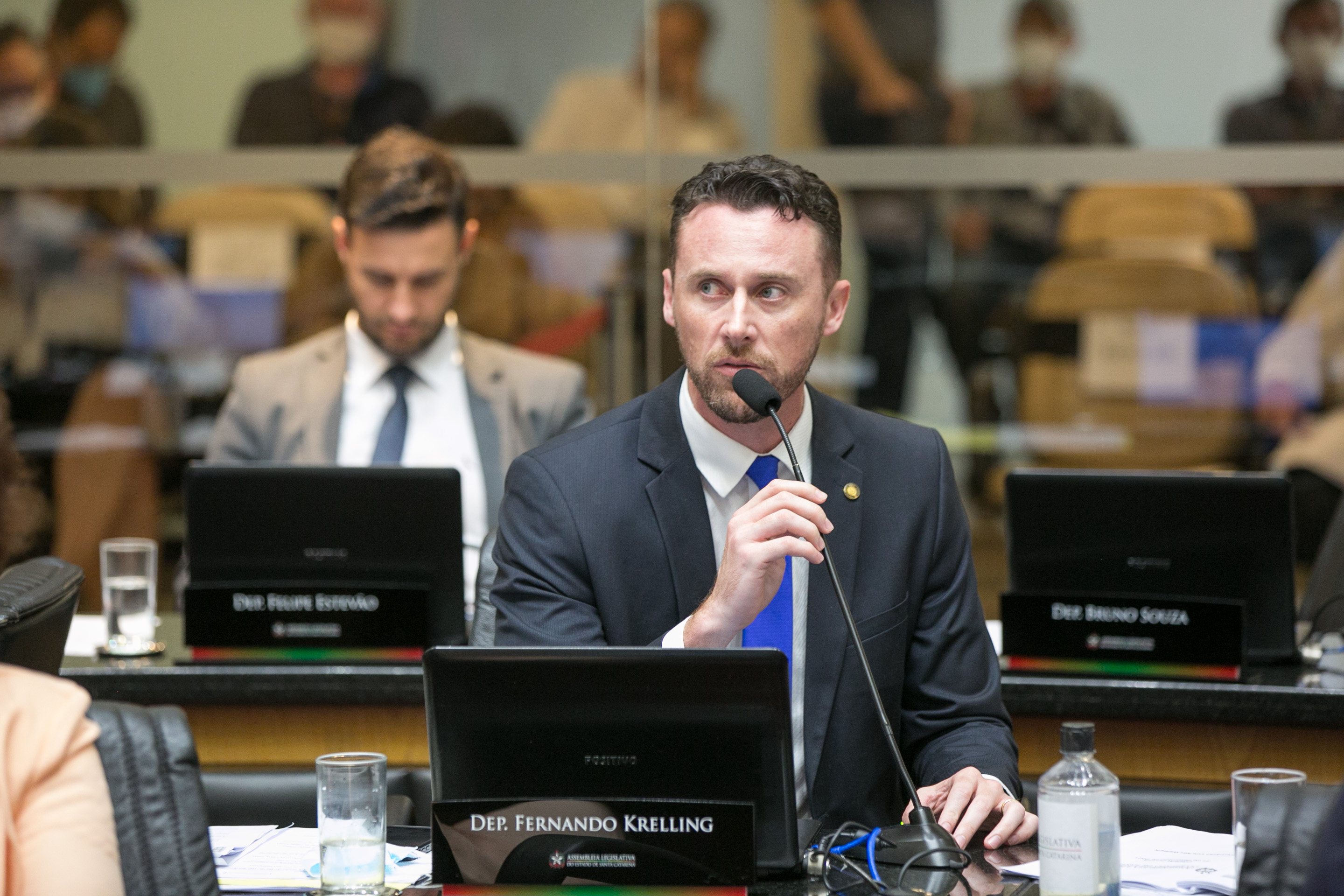 Deputado Fernando Krelling (MDB)