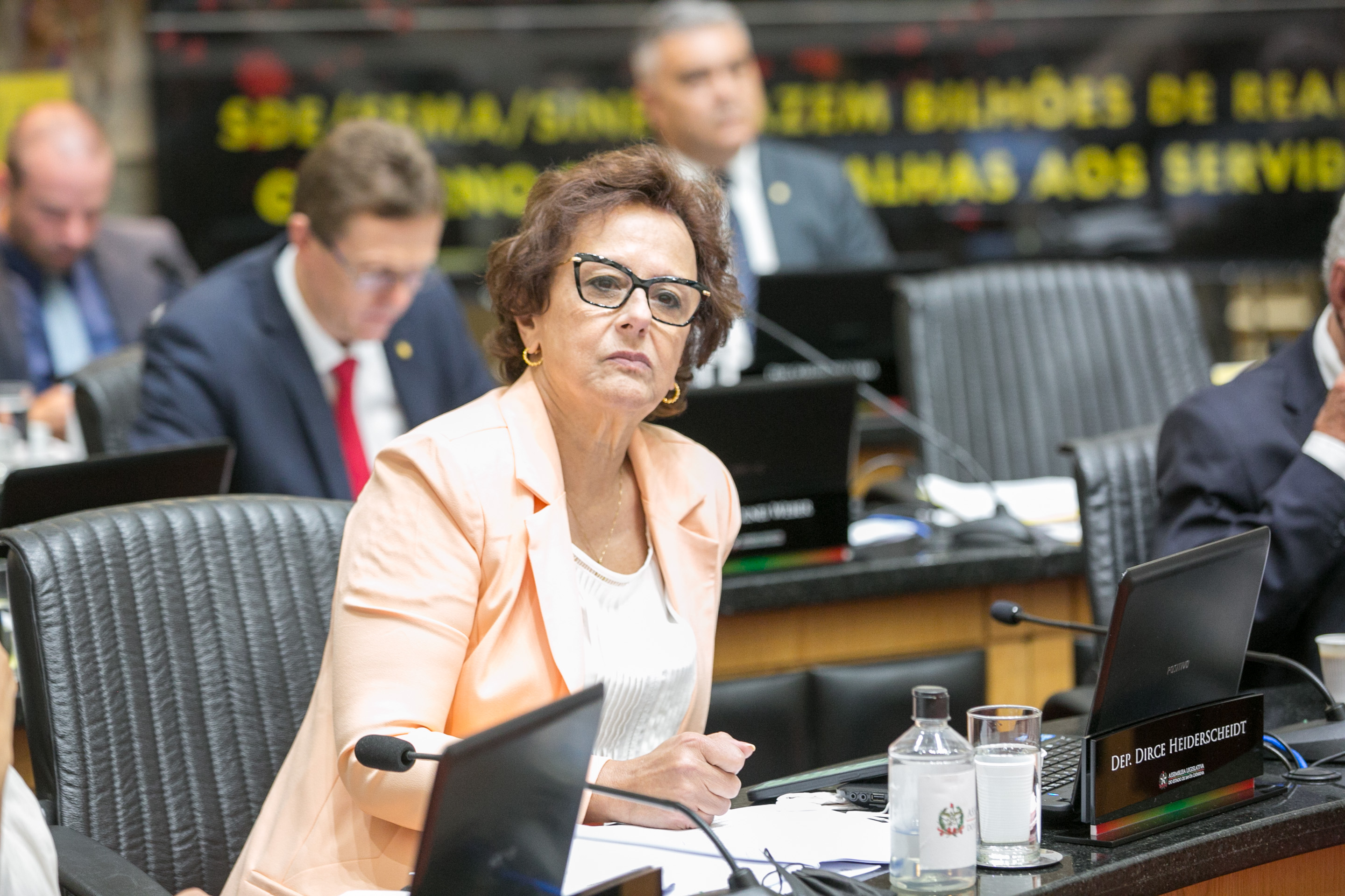 Deputada Dirce Heiderscheidt (MDB)