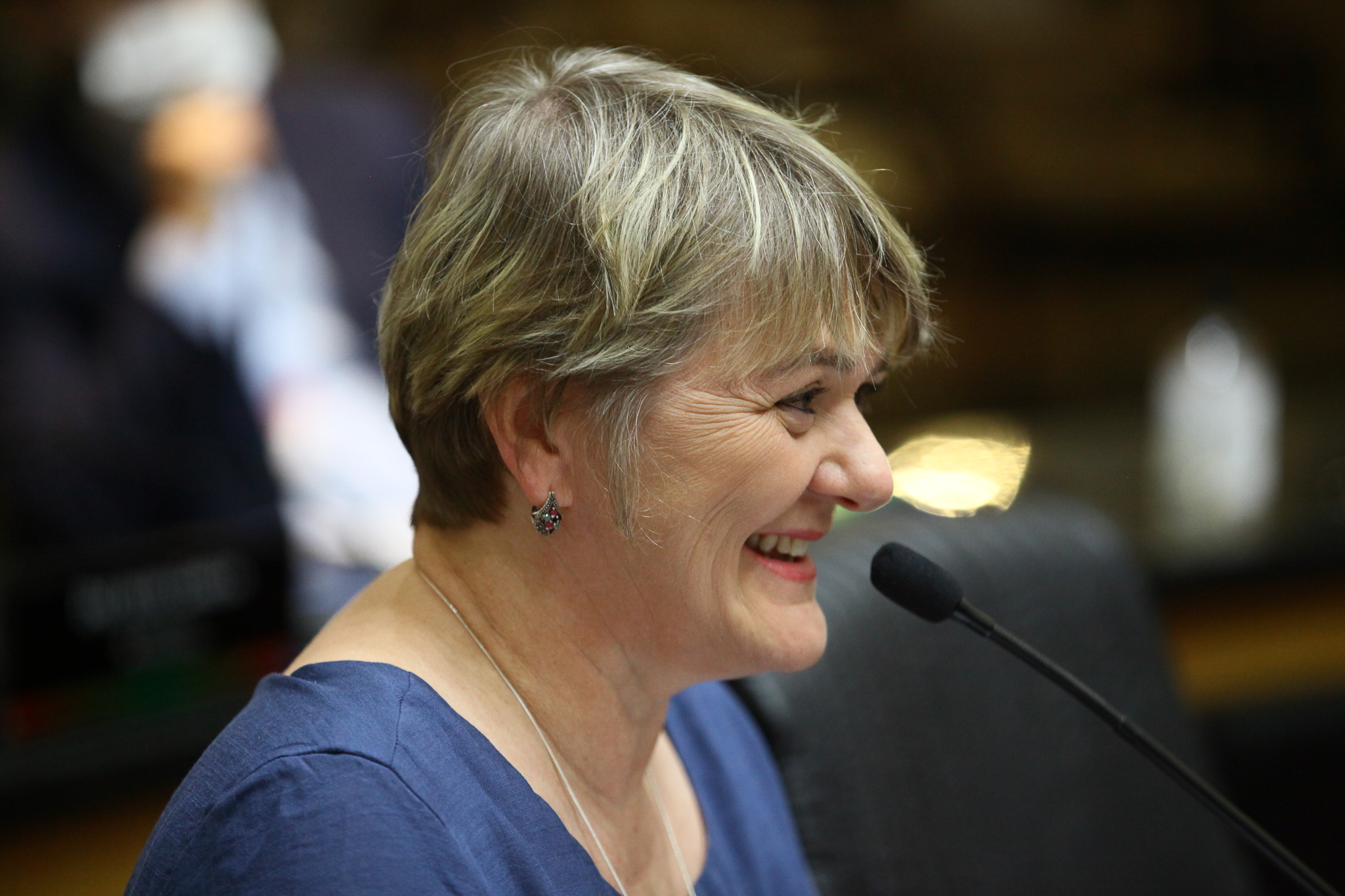 Reunião Extraordinária da Comissão de Finanças - Deputada Luciane Carminatti (PT)
