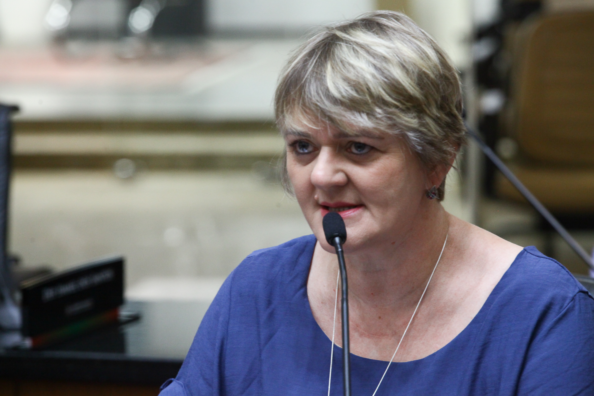 Reunião Extraordinária da Comissão de Finanças - Deputada Luciane Carminatti (PT)