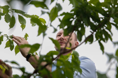 Um político que gosta de plantas