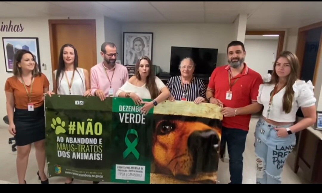 Dezembro Verde: mês contra abandono e maus-tratos dos animais