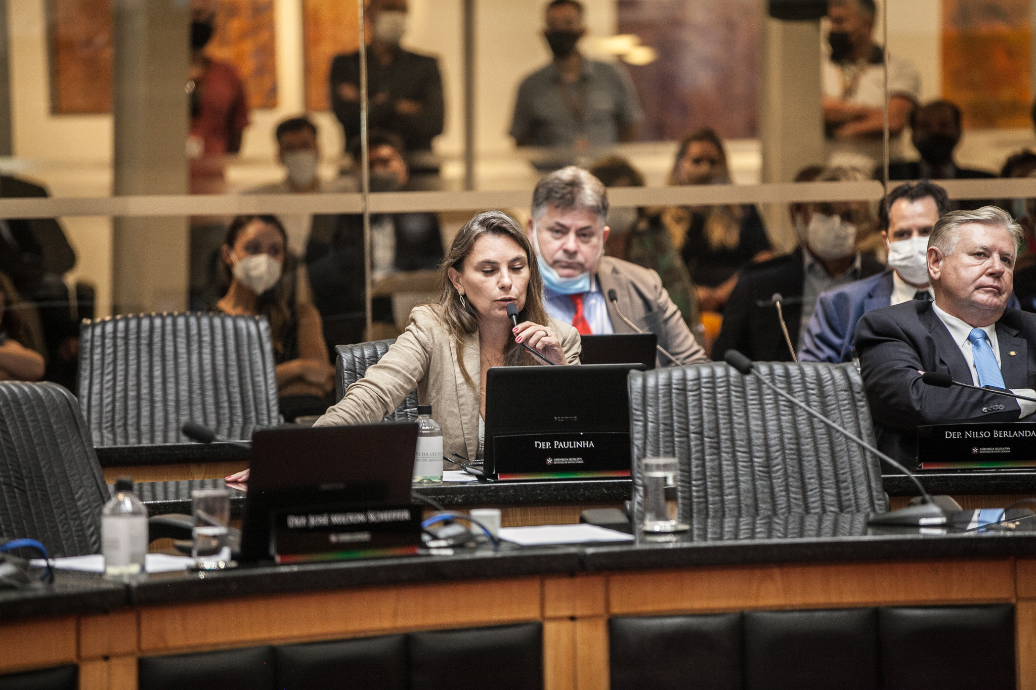 Deputada Paulinha (Sem Partido)