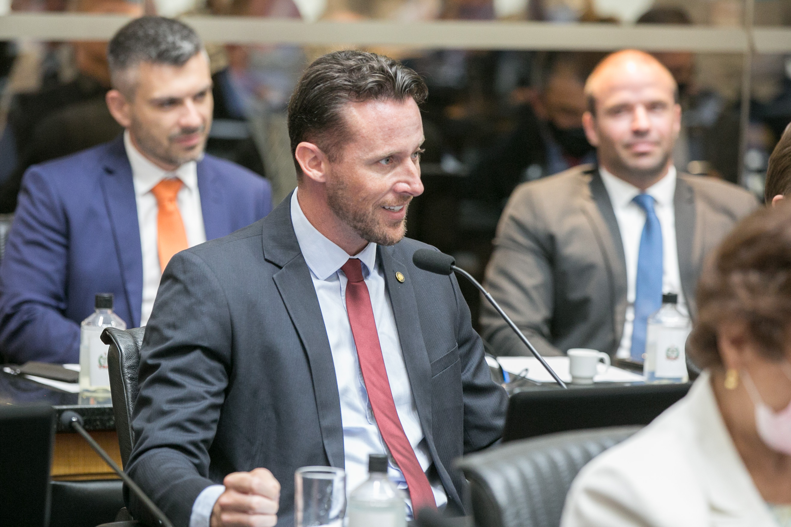 Deputado Fernando Krelling (MDB)