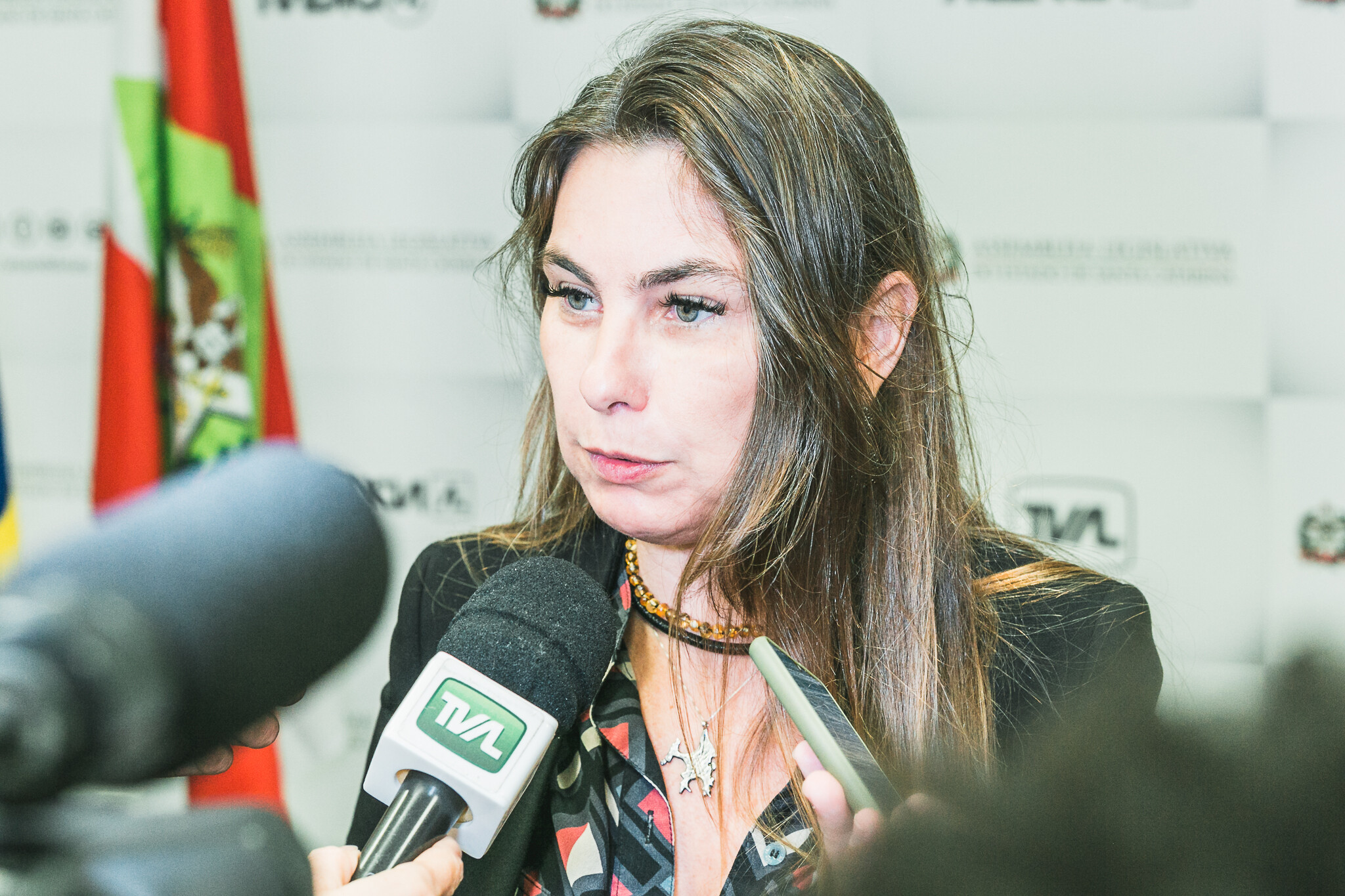 Paulinha quer equiparação tributária a produtores de farinha e leite