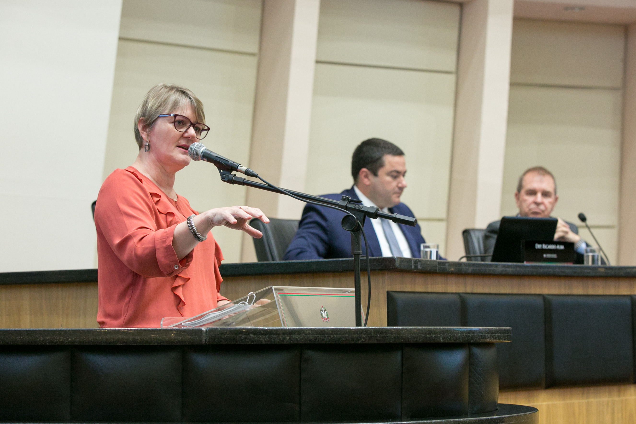 Deputada Luciane Carminatti (PT)