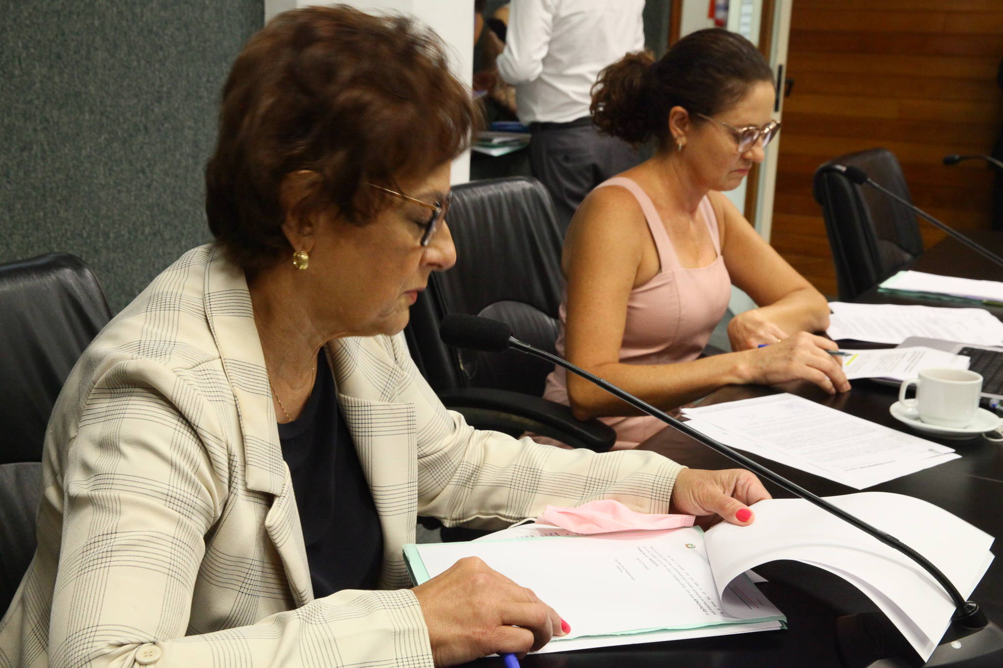 Comissão de Defesa dos Direitos da Criança e do Adolescente - Deputada Dirce Heiderscheidt (MDB) e Deputada Marlene Fengler (PSD)