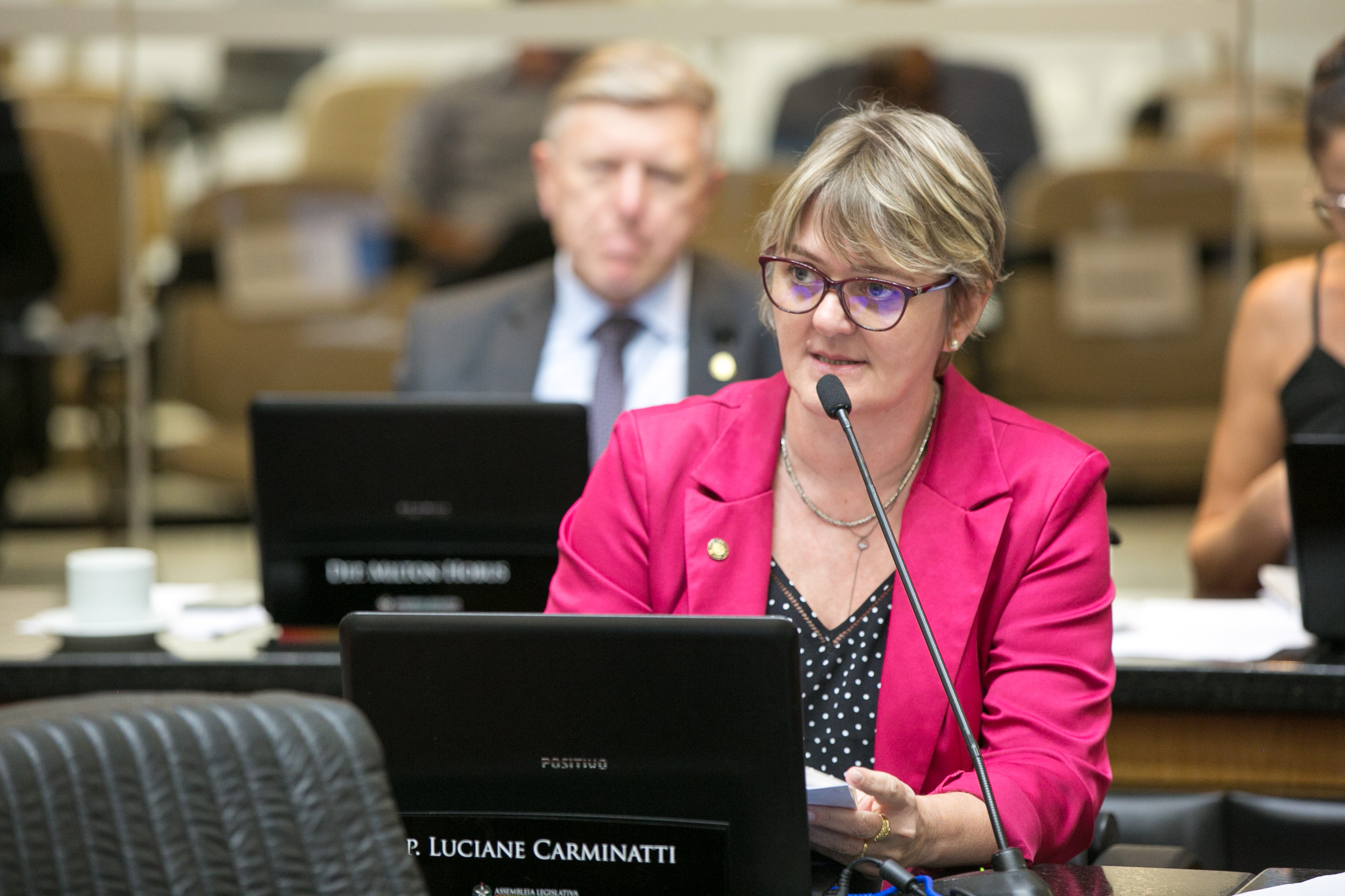Deputada Luciane Carminatti (PT)