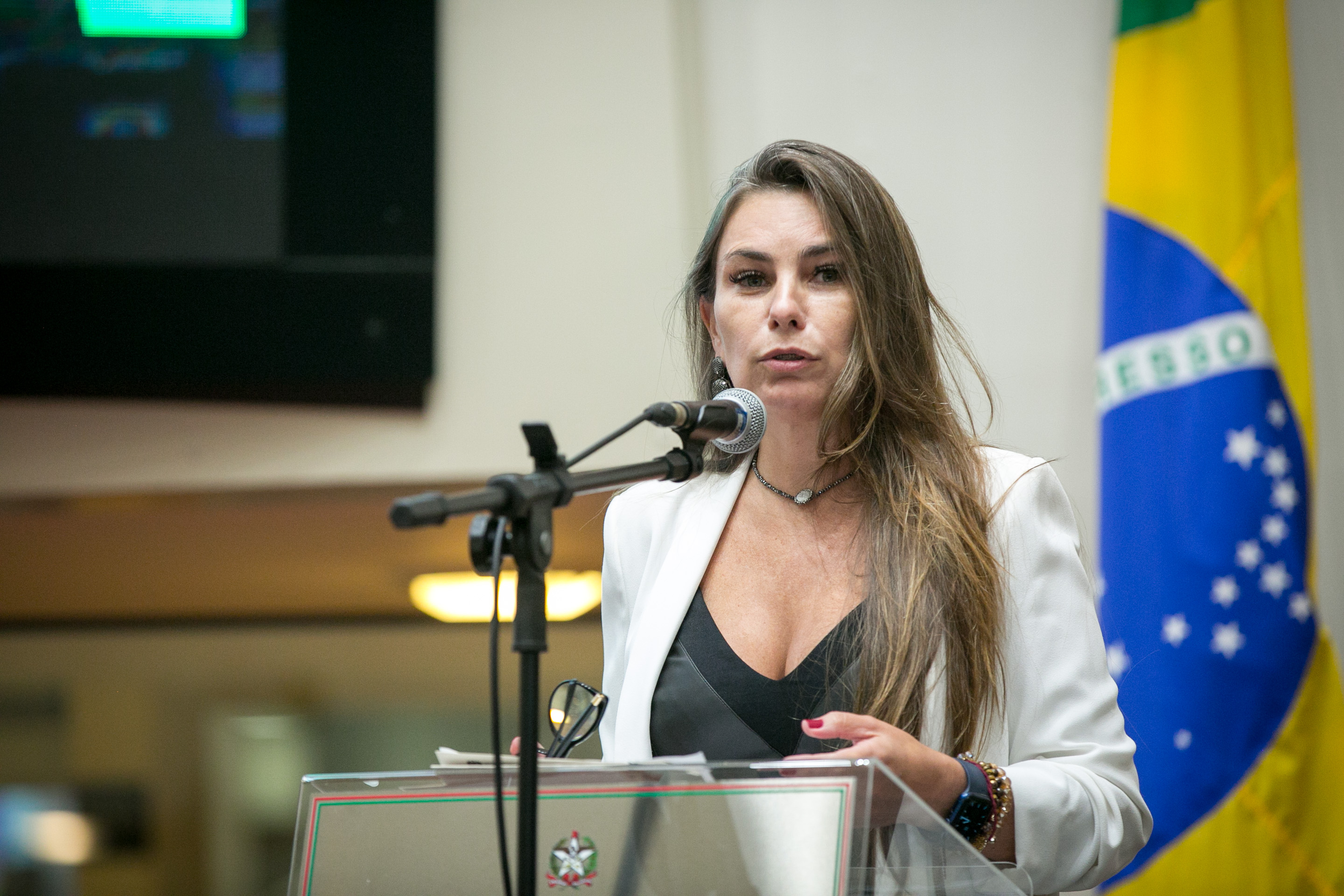 Deputada Paulinha (sem partido)