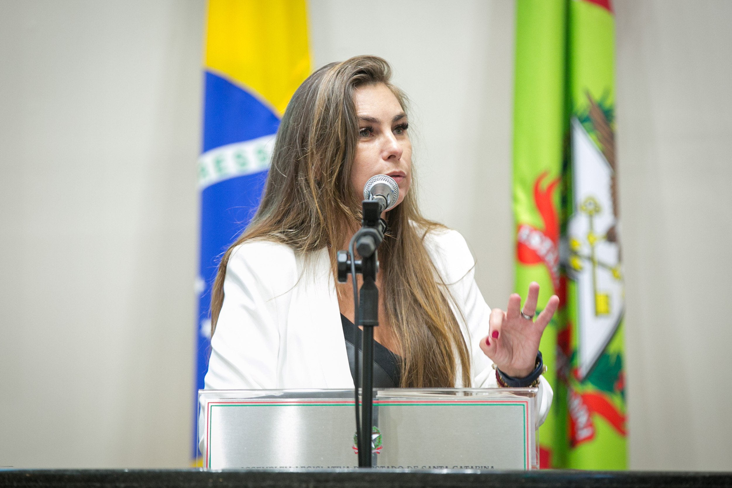 Deputada Paulinha (sem partido)