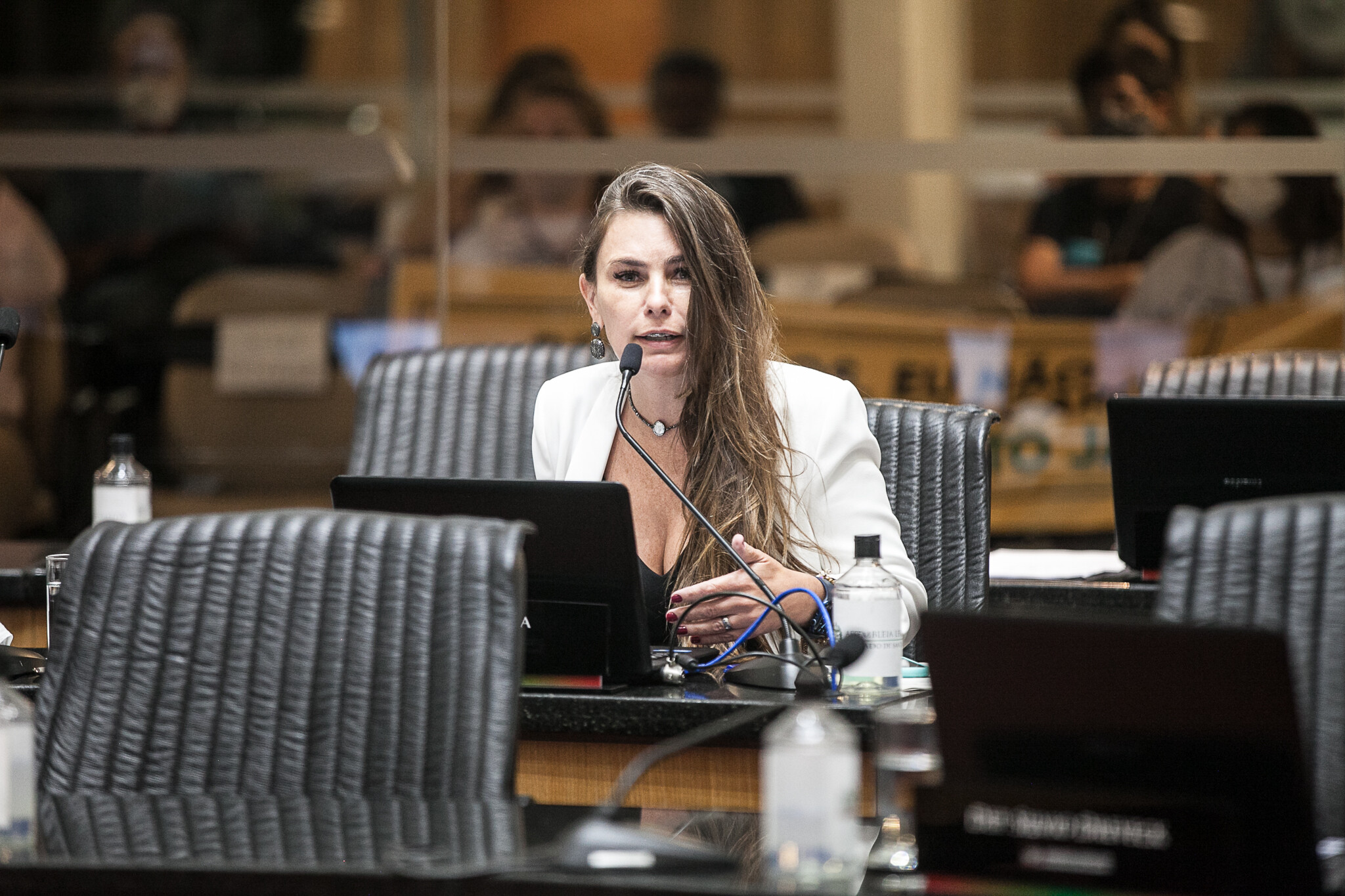 Paulinha comemora aprovação de projetos em prol da causa animal e da educação