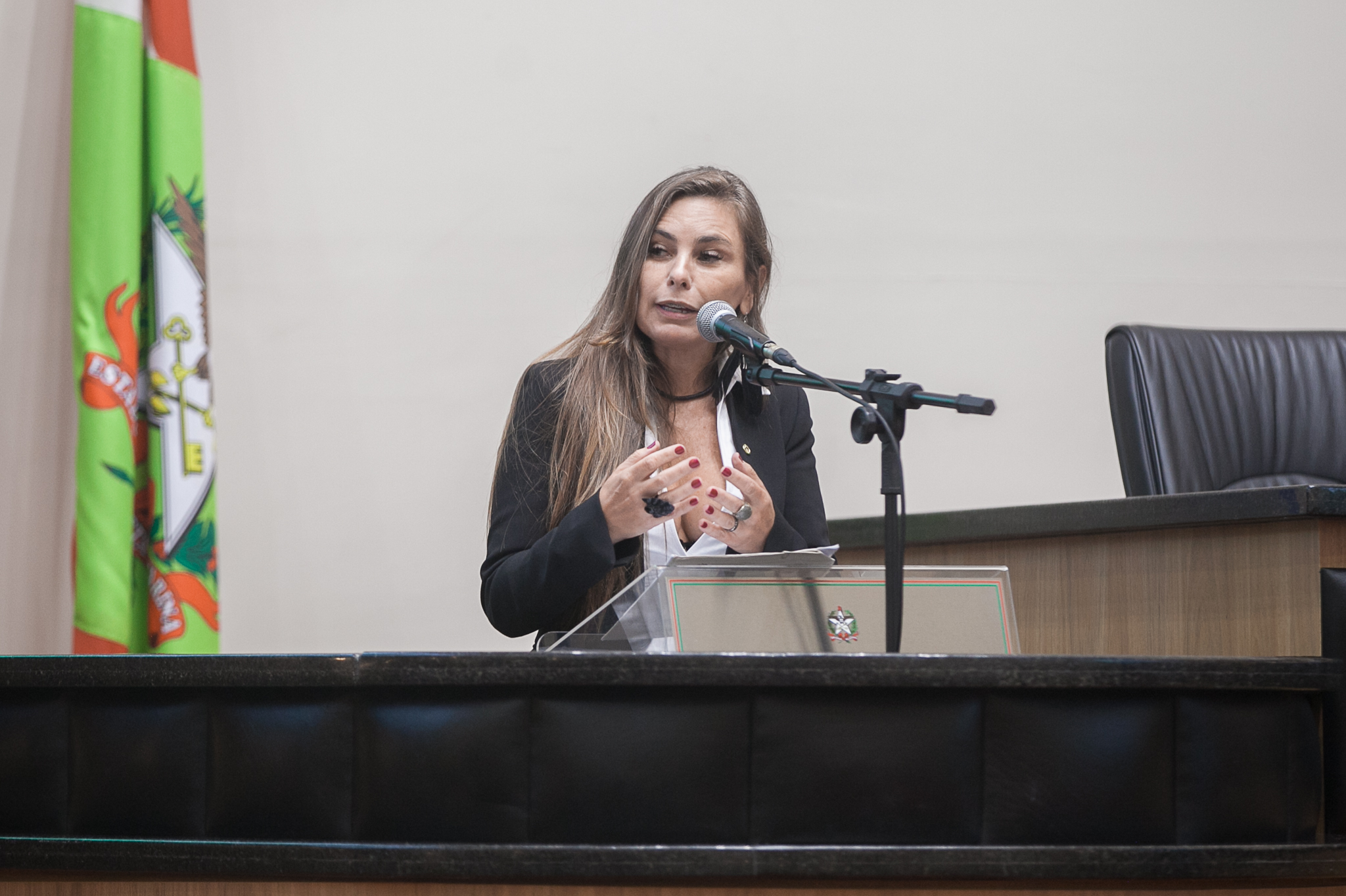 Deputada Paulinha (Sem Partido)