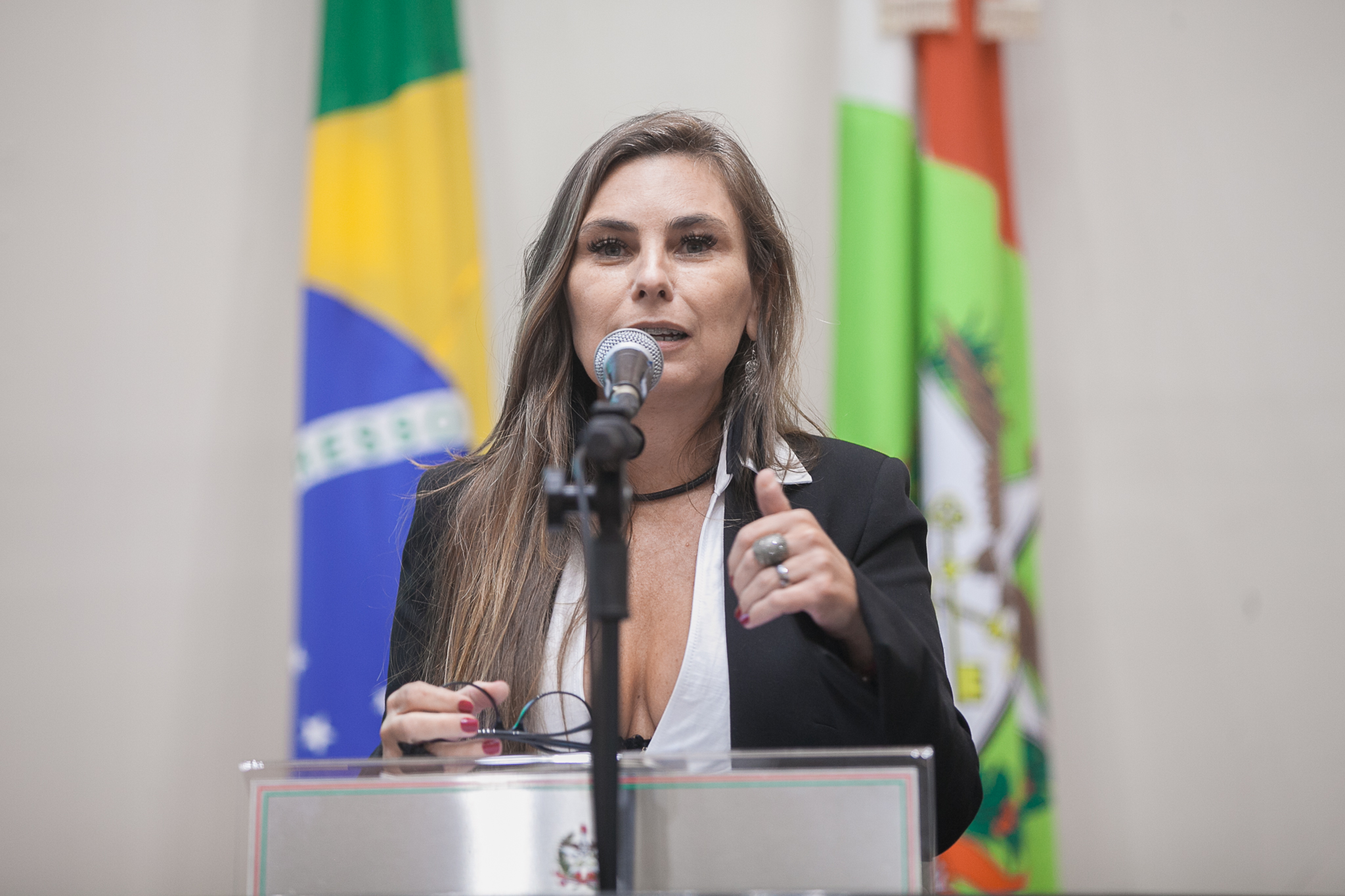 Deputada Paulinha (Sem Partido)