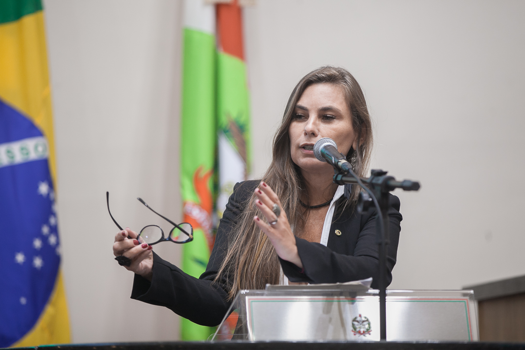 Deputada Paulinha (Sem Partido)