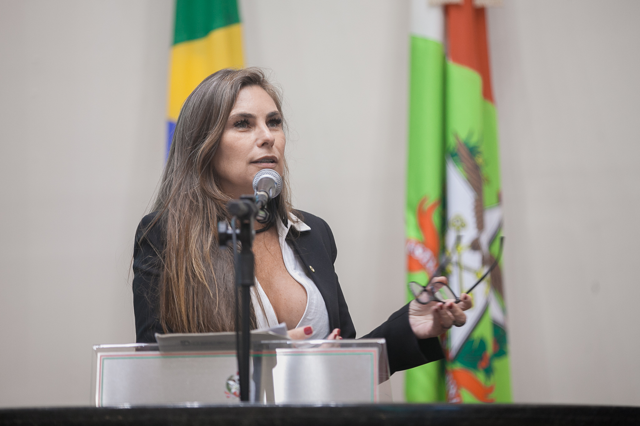 Deputada Paulinha (Sem Partido)