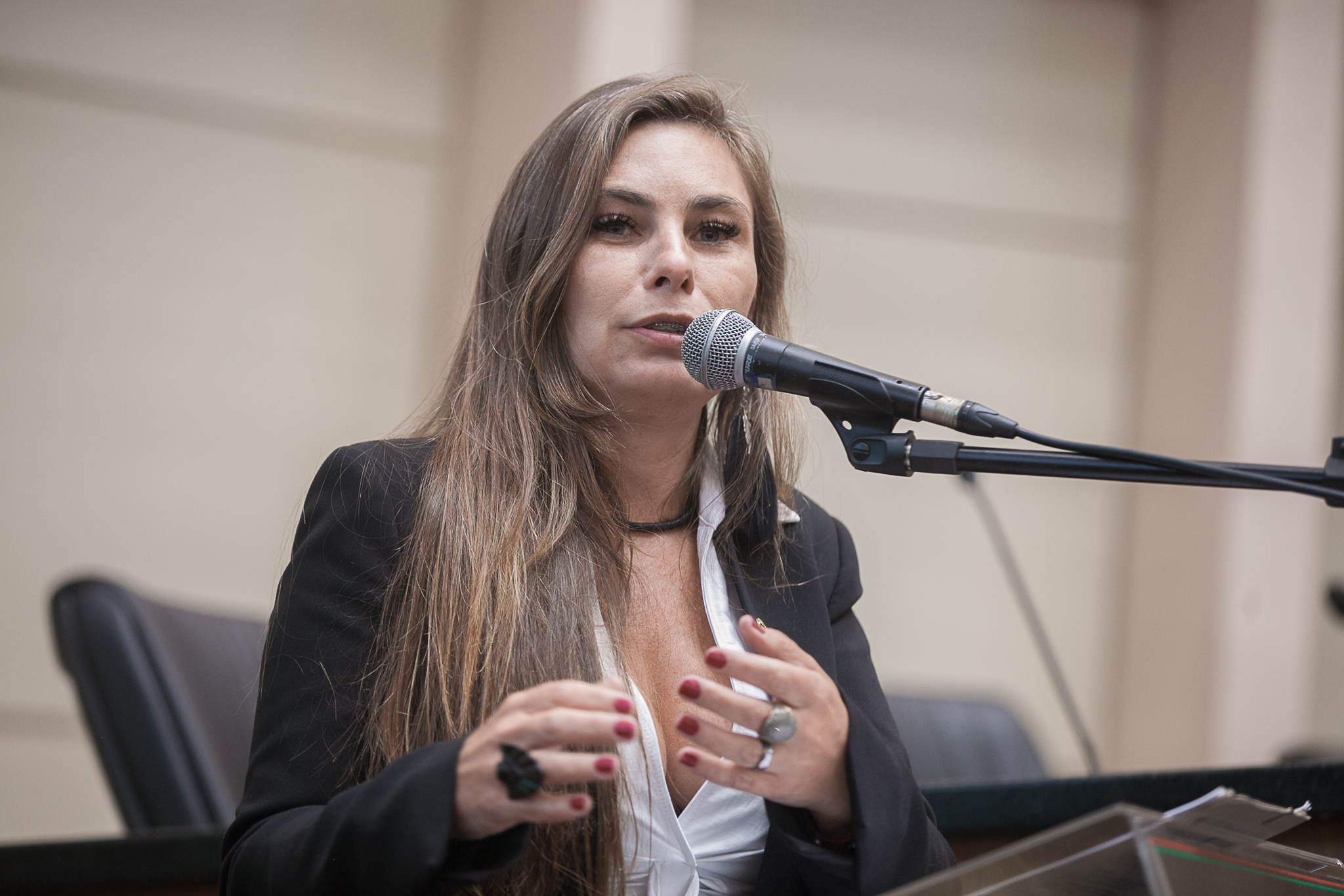 Deputada Paulinha (Sem Partido)