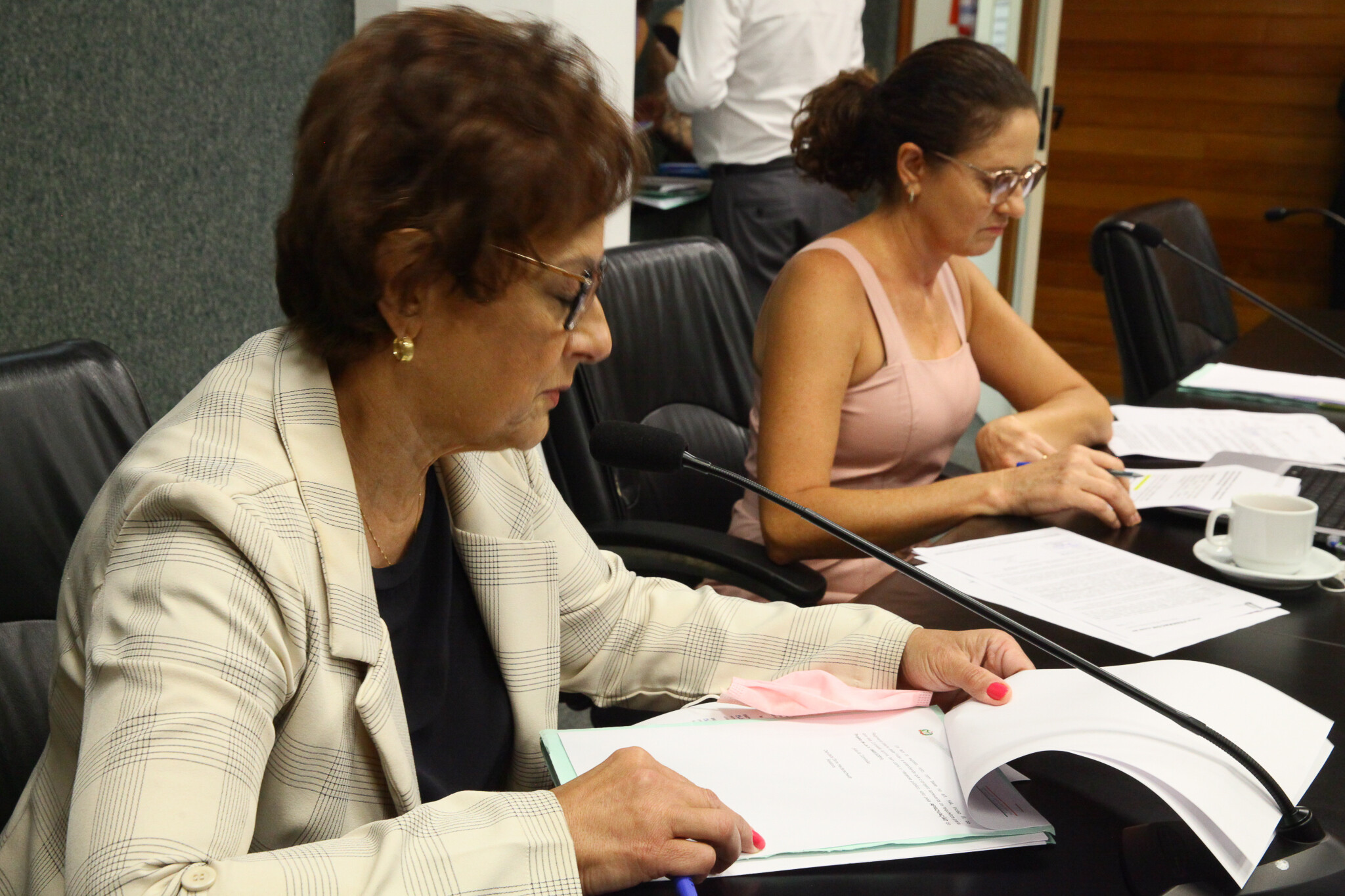 Alesc debaterá contratação de psicólogos para a rede estadual de ensino