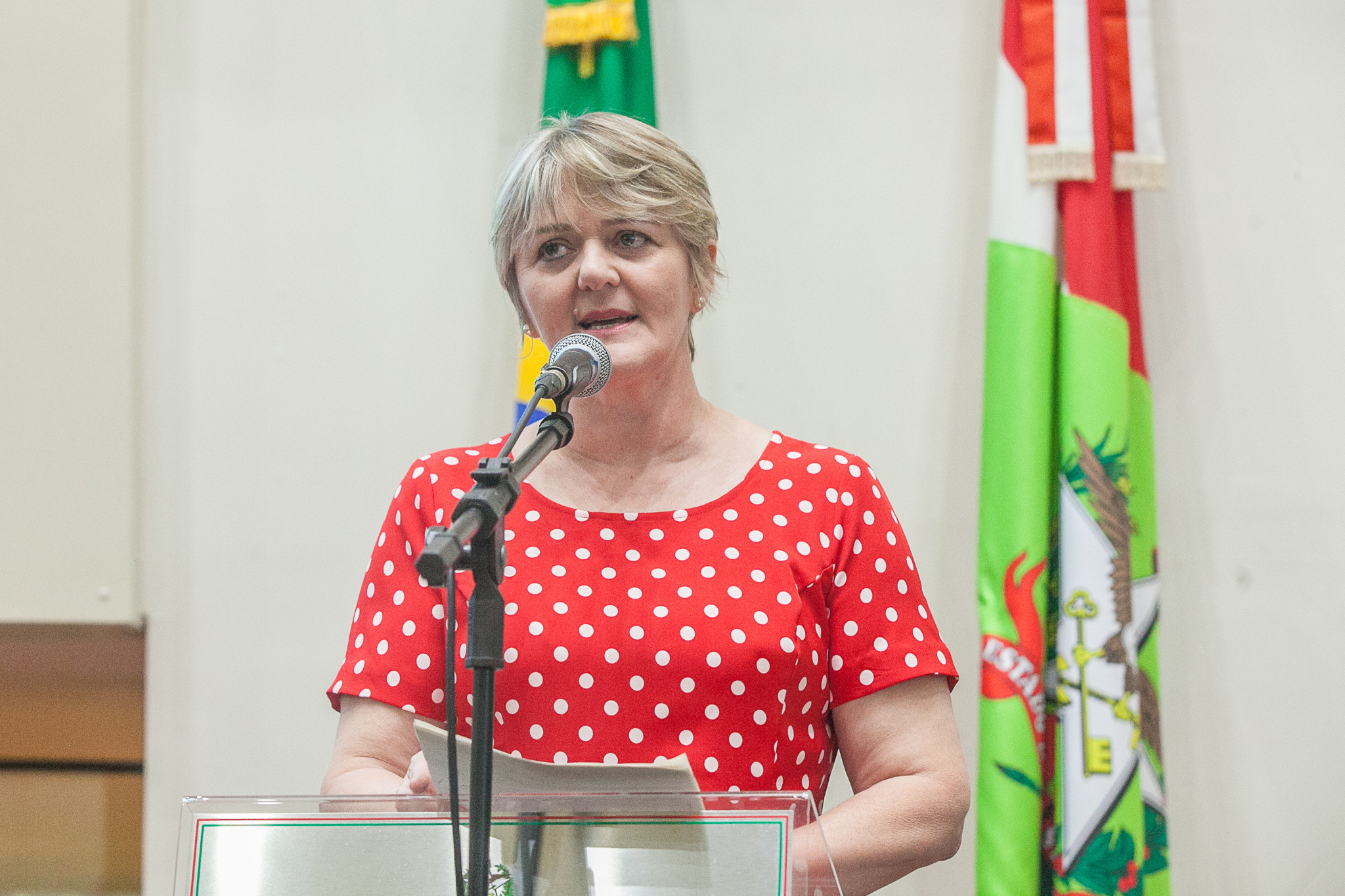 Deputada Luciane Carminatti (PT)