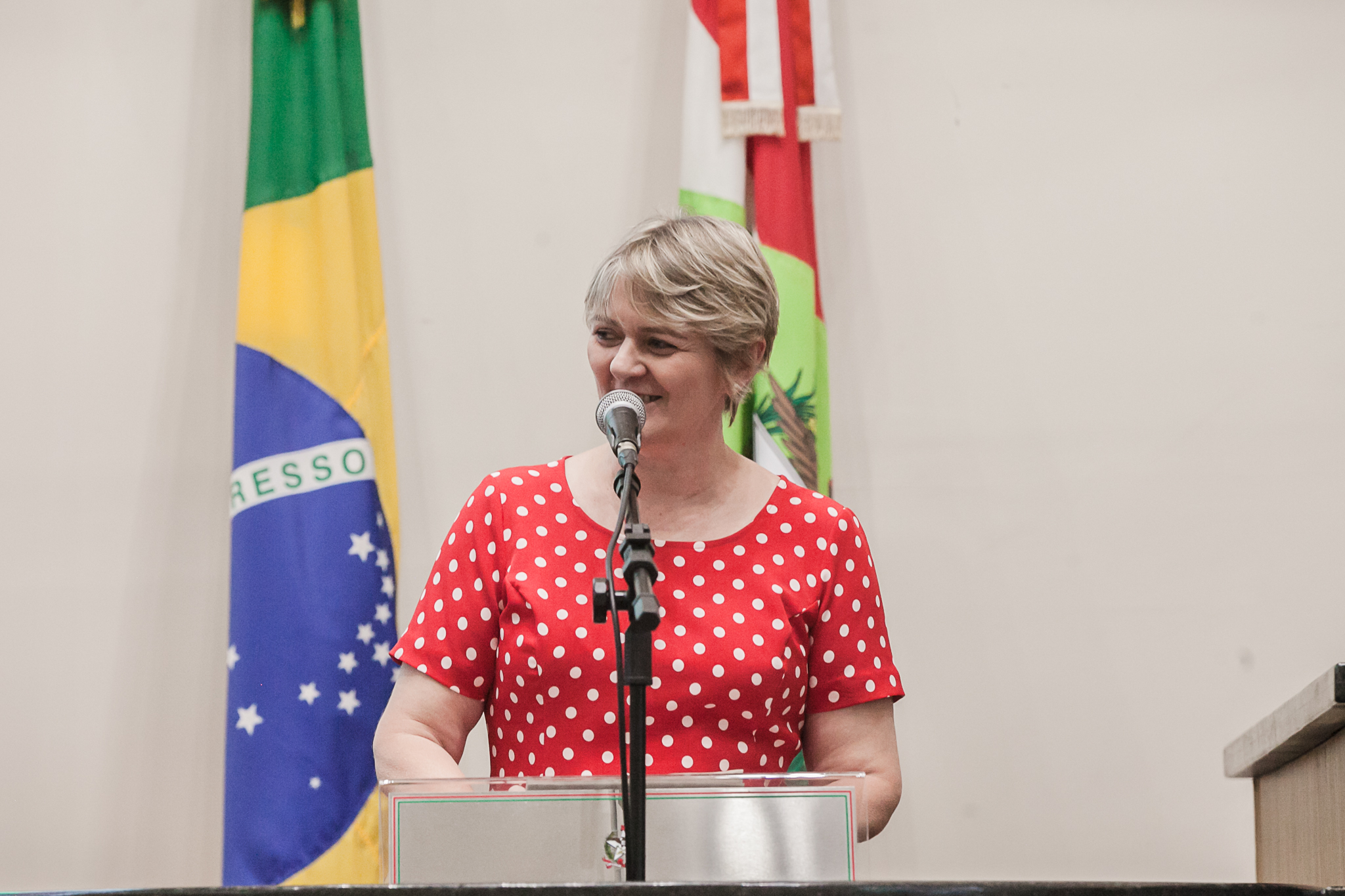 Deputada Luciane Carminatti (PT)