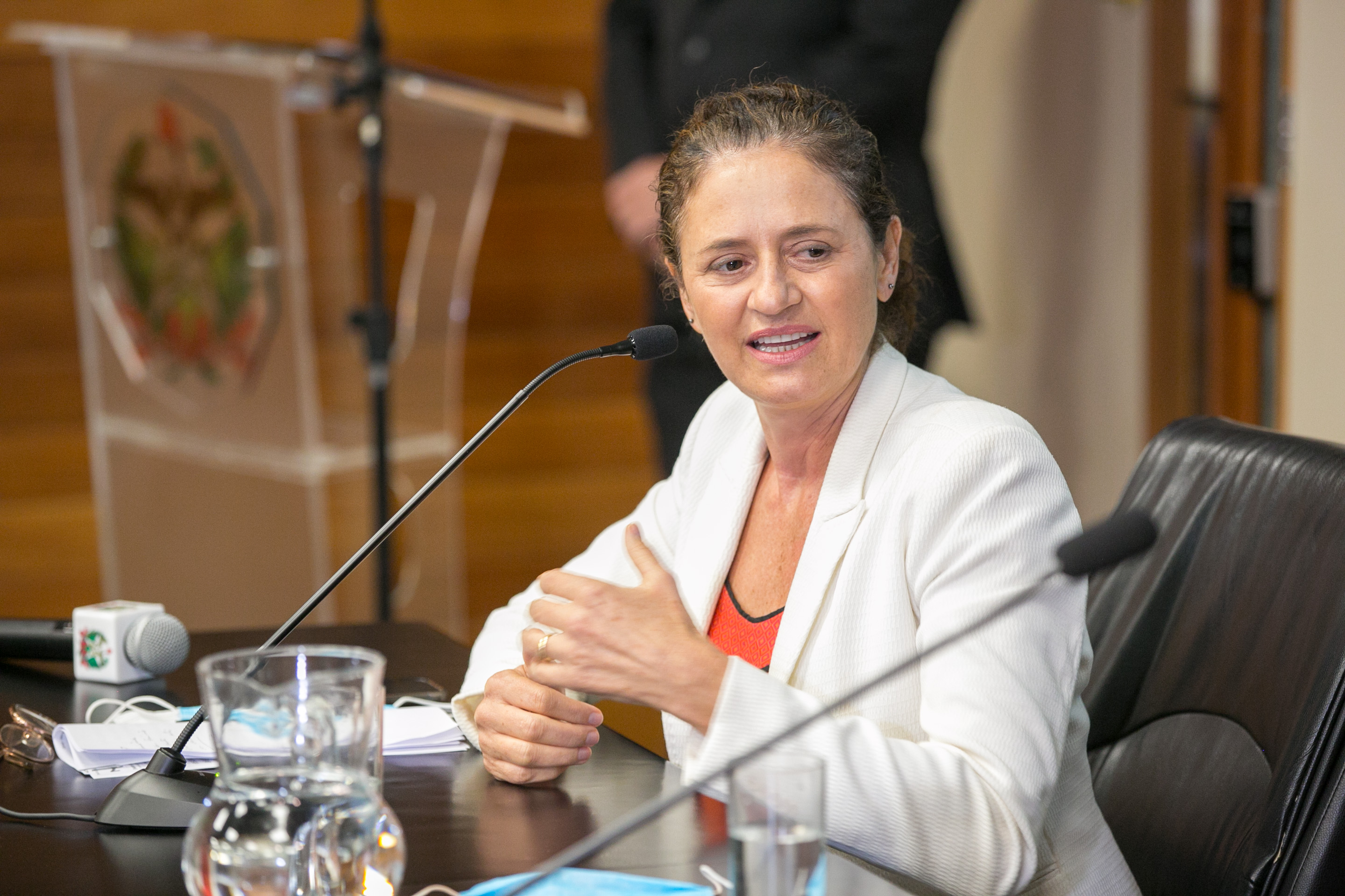 Deputada Marlene Fengler (PSD)