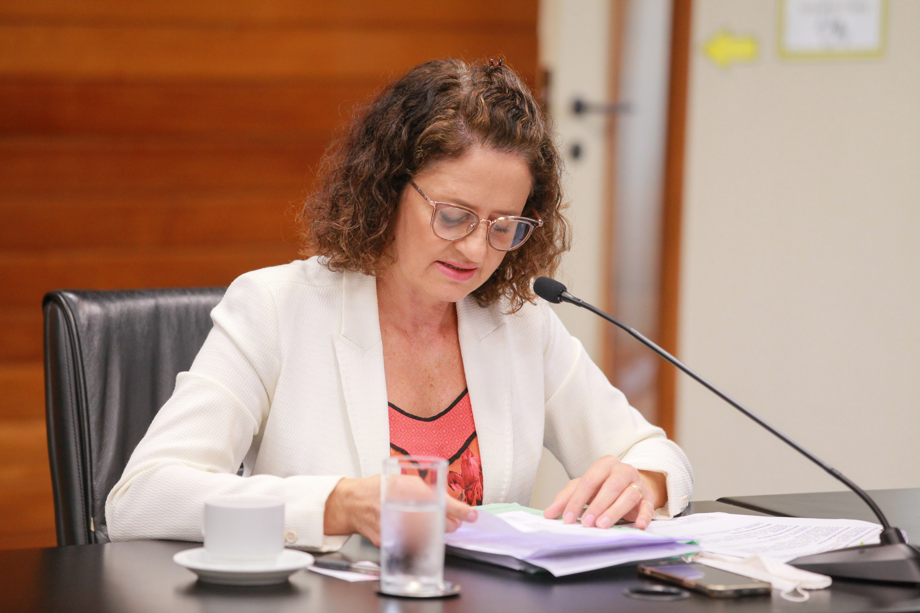 - Deputada Marlene Fengler (PSD)