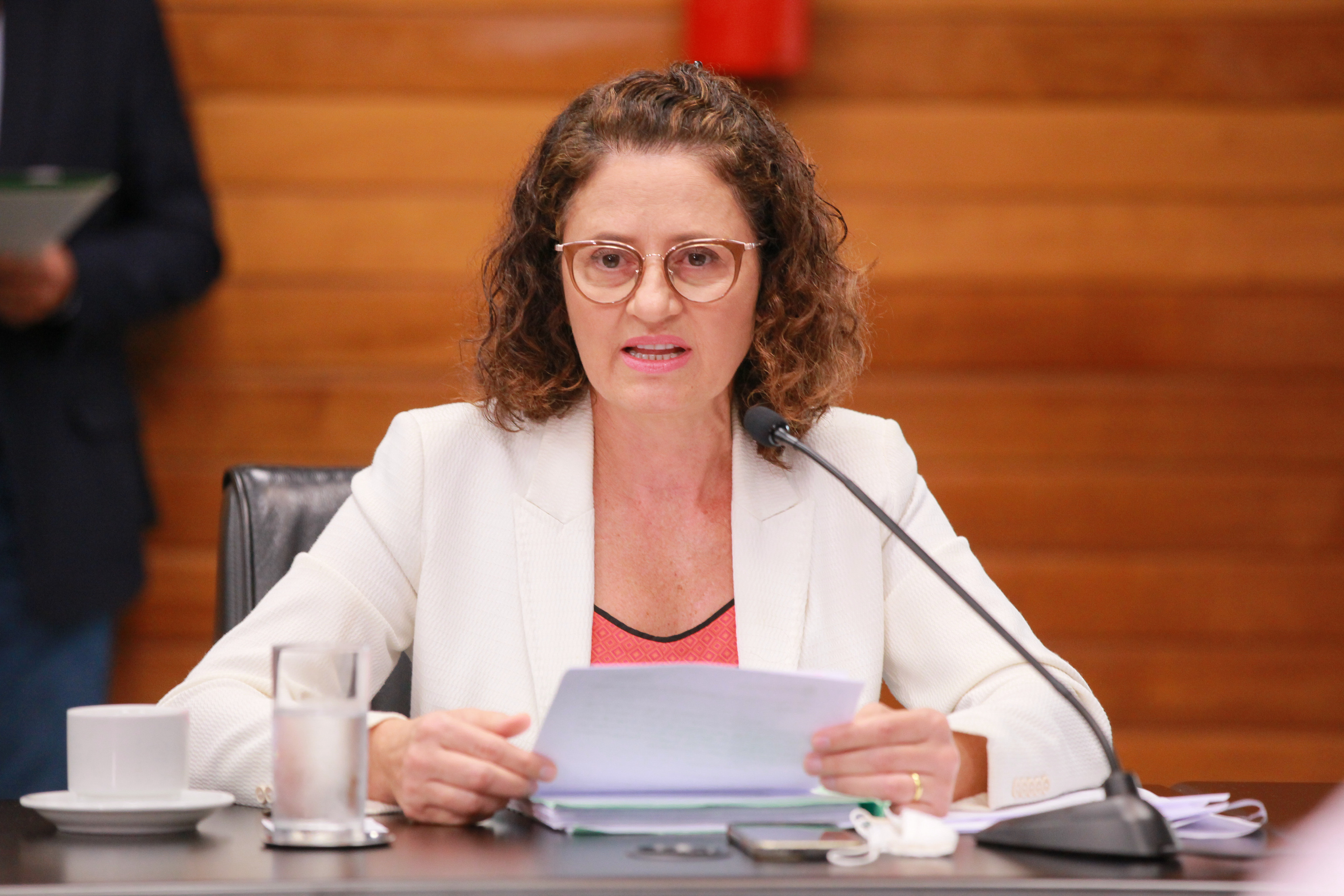 - Deputada Marlene Fengler (PSD)