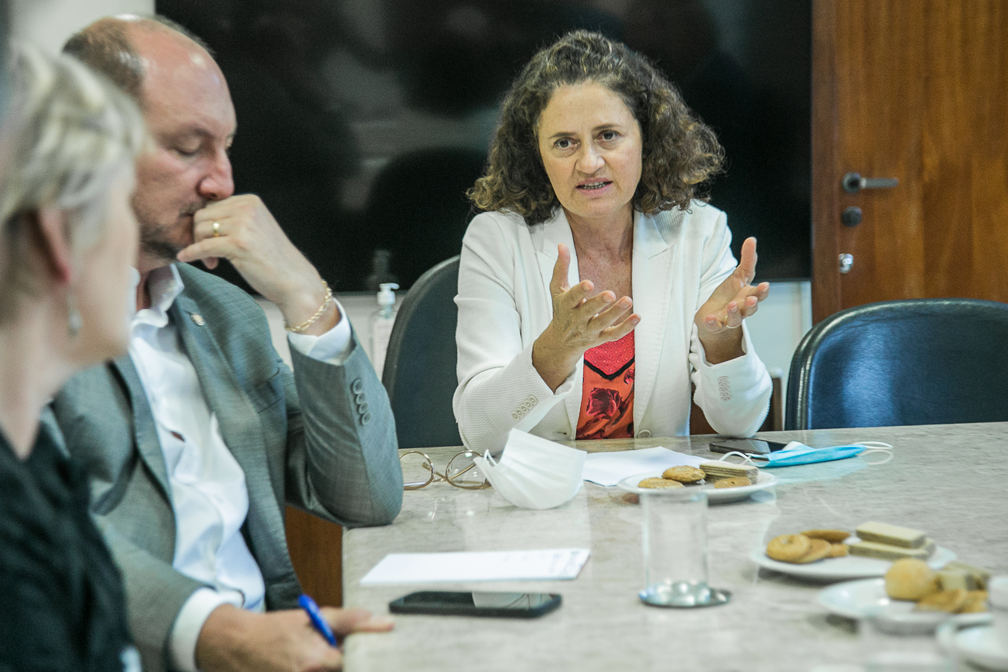Deputada Marlene Fengler (PSD)