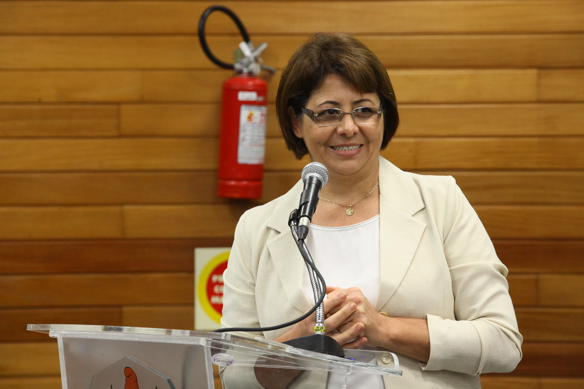 Reunião de Instalação da Frente Parlamentar em Defesa da Saúde Catarinense - Irmã Neuza, presidente da Fehoesc