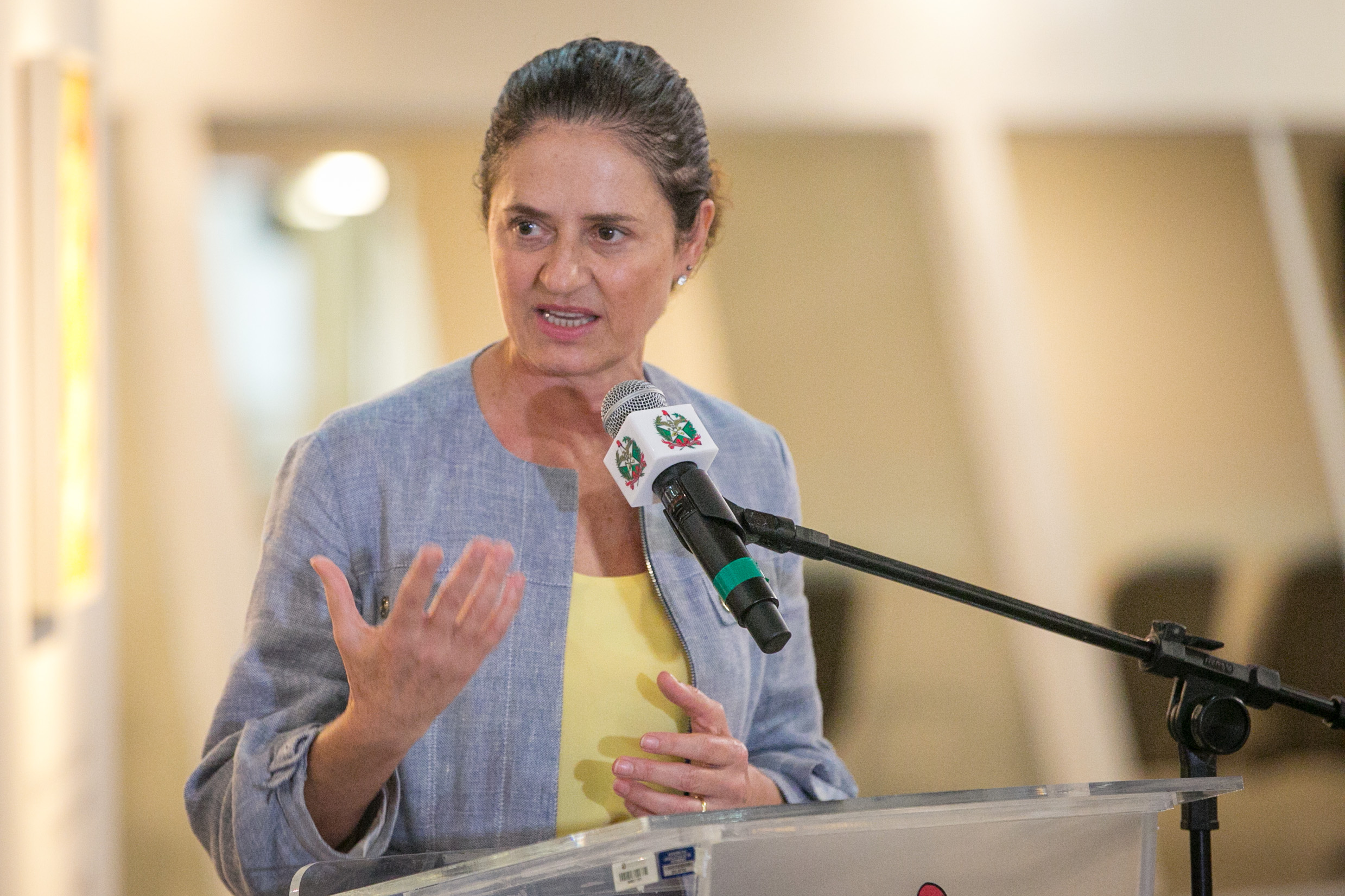 Deputada Marlene Fengler (PSD)