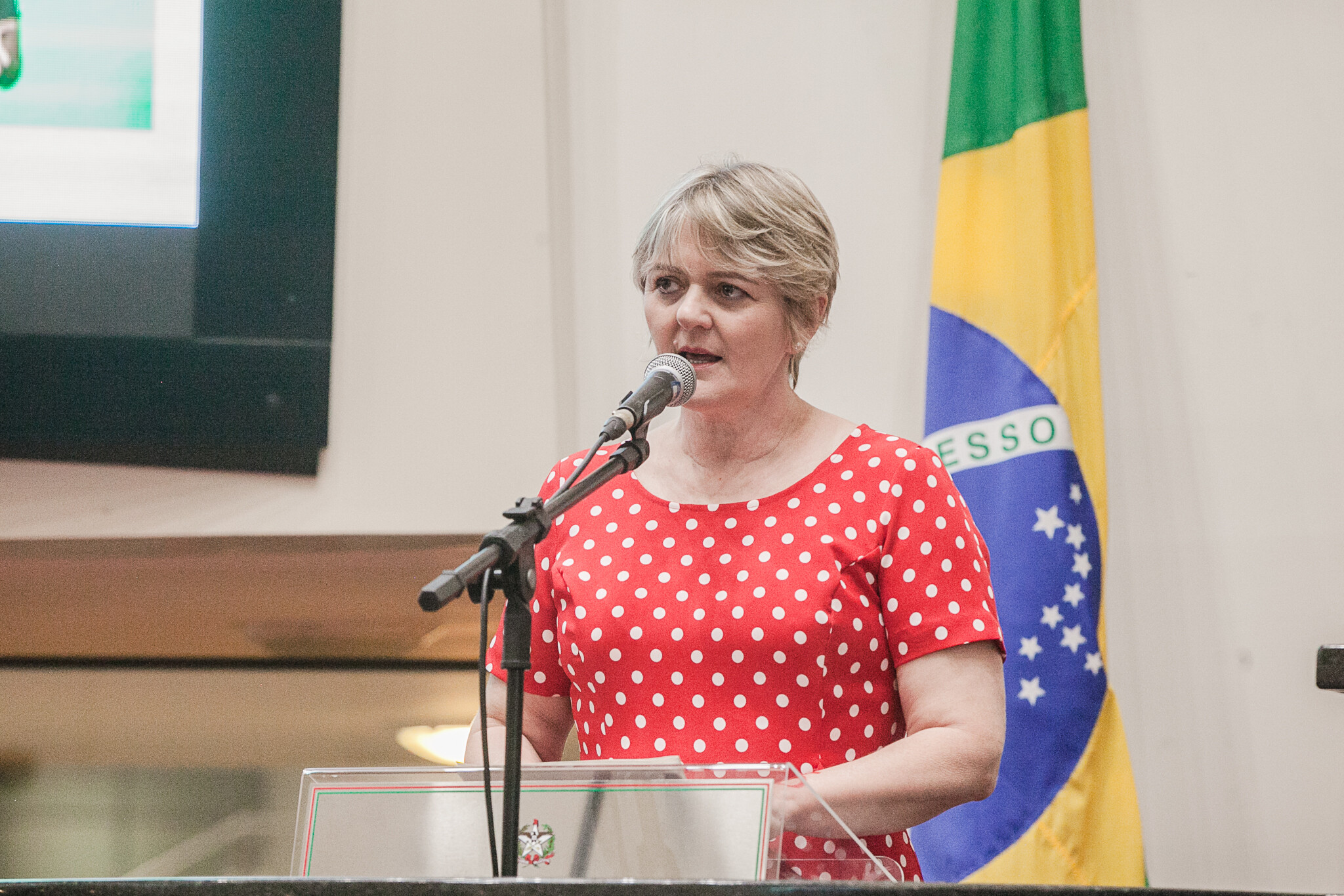 Deputada Luciane Carminatti.