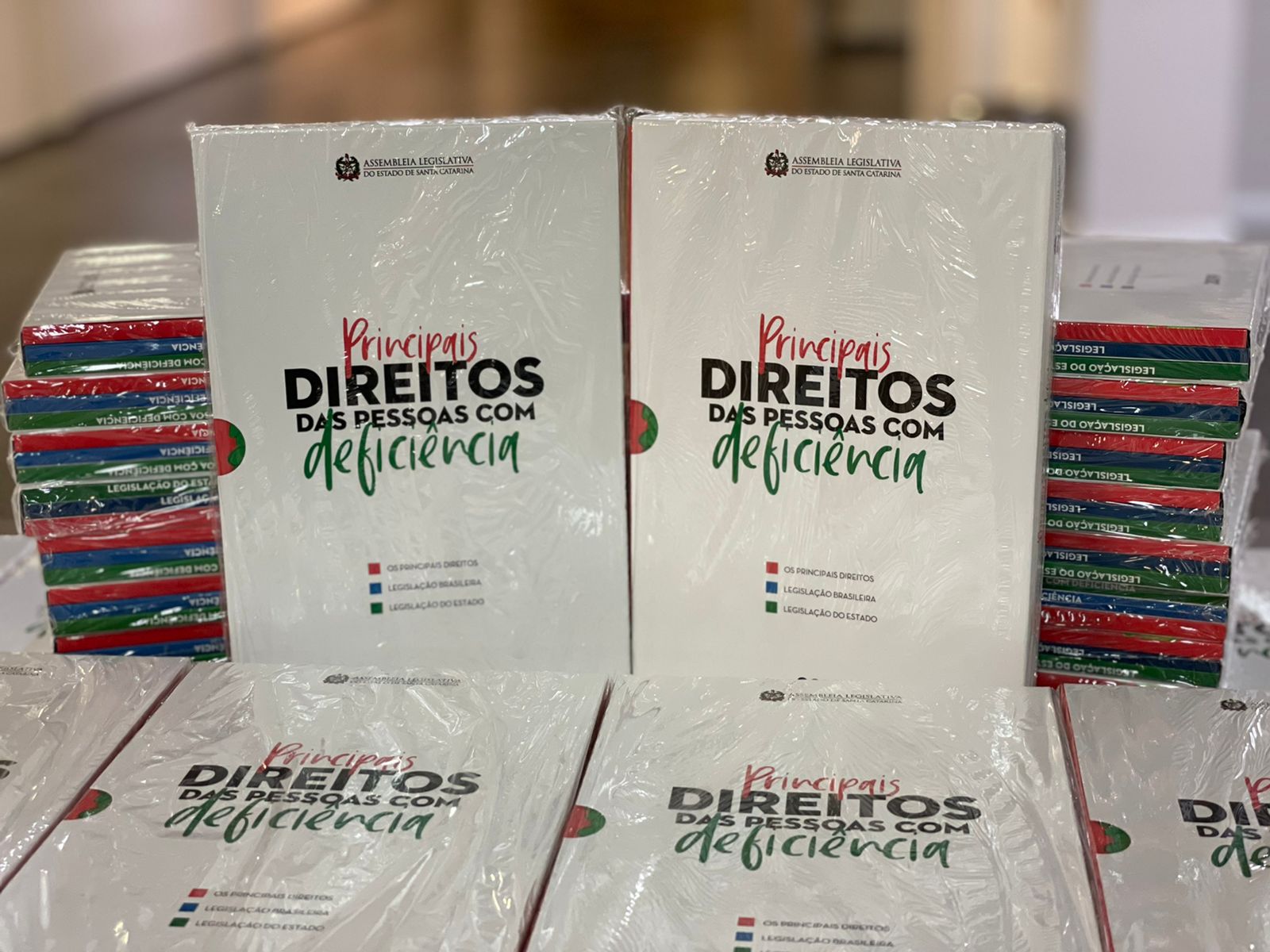 SEMINÁRIO – Conhecer para Incluir