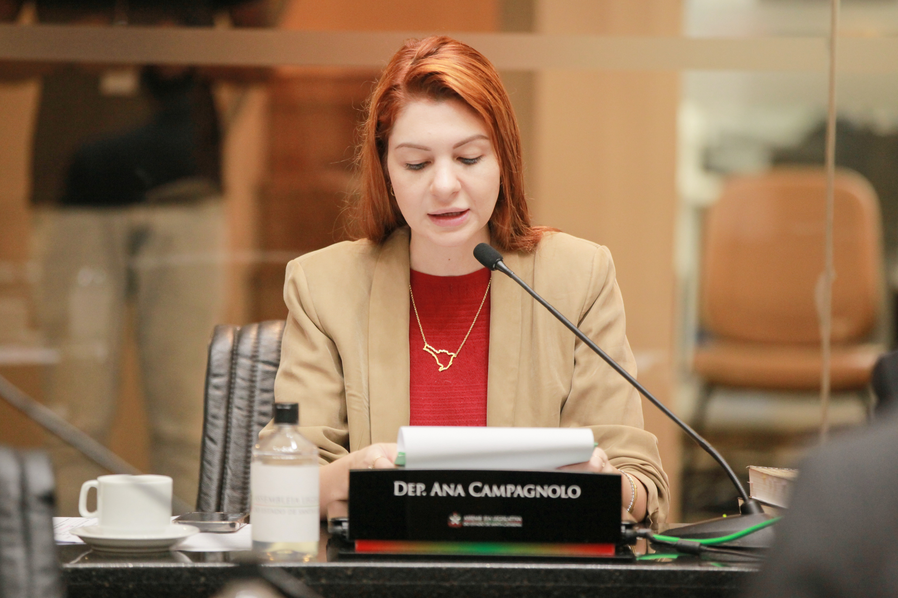 - Deputada Ana Caroline Campagnolo (PSL)