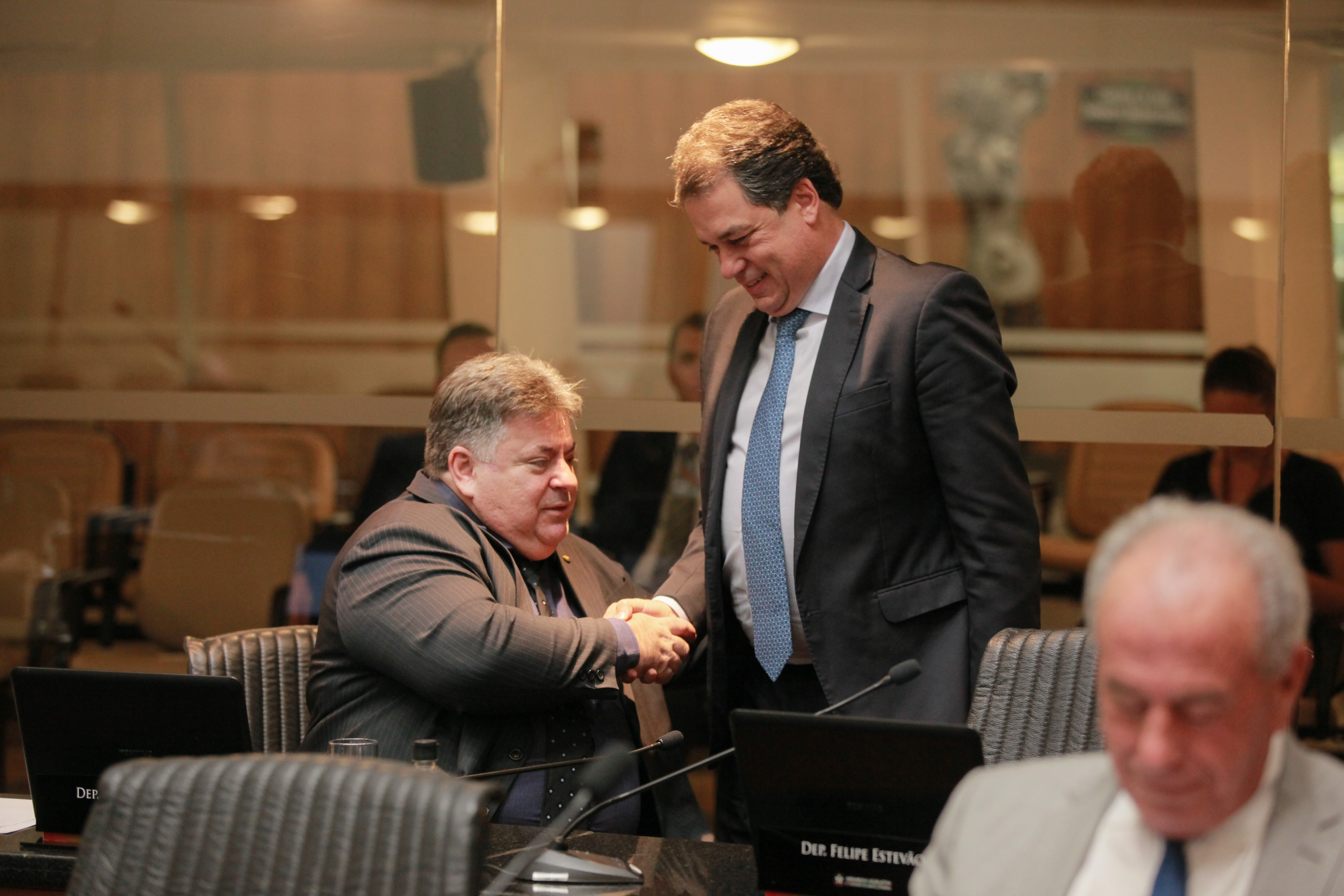 - Deputado Sérgio Motta (PRB)  - Deputado Rodrigo Minotto (PDT)