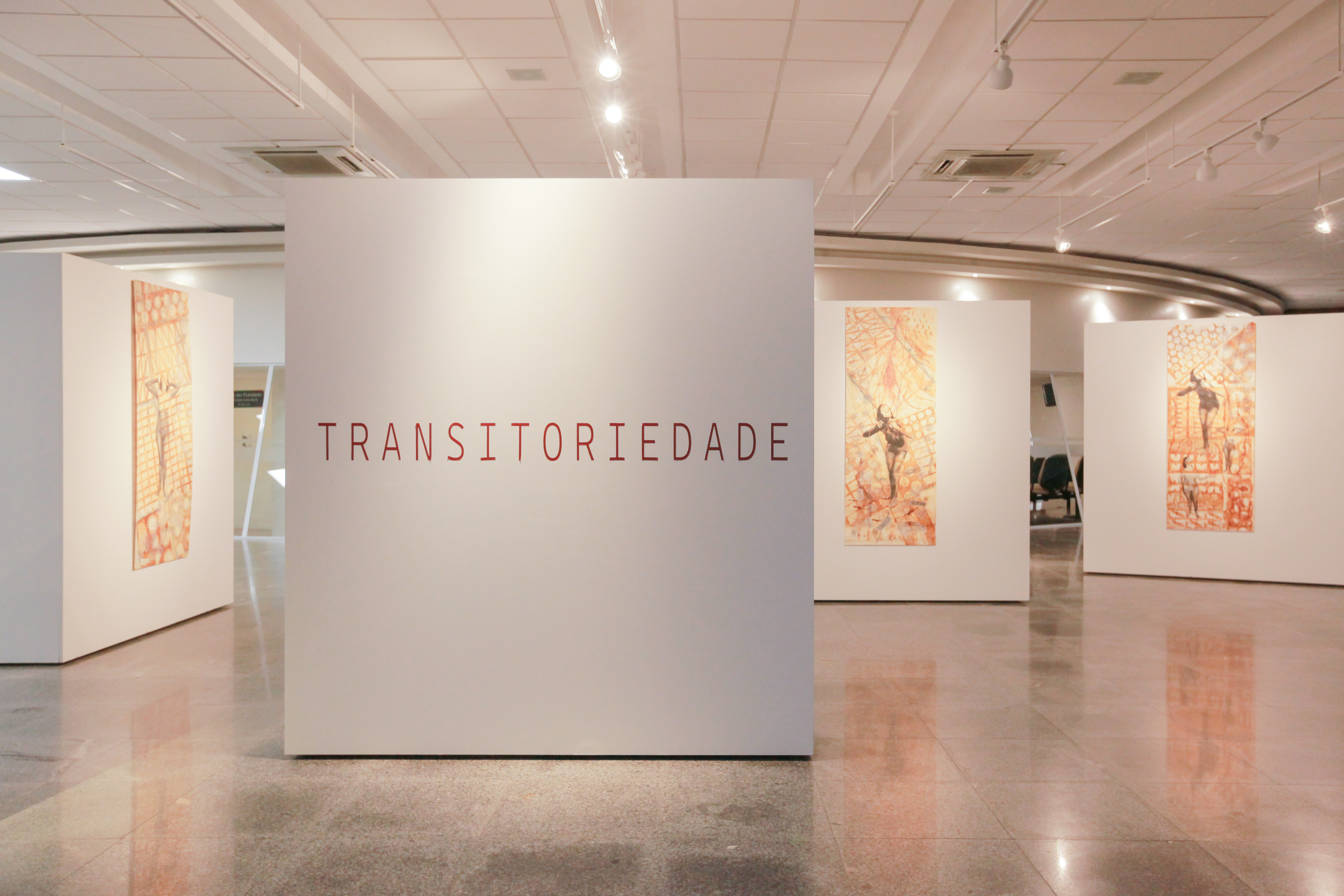 Exposição “Transitoriedade”, da artista Gilma Mello