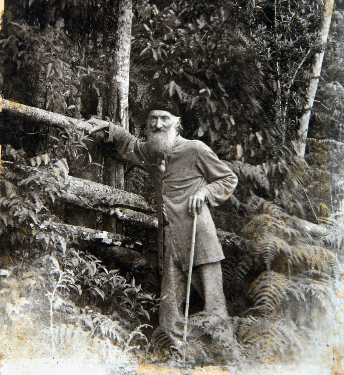 Alesc promove sessão em homenagem ao bicentenário de Fritz Müller