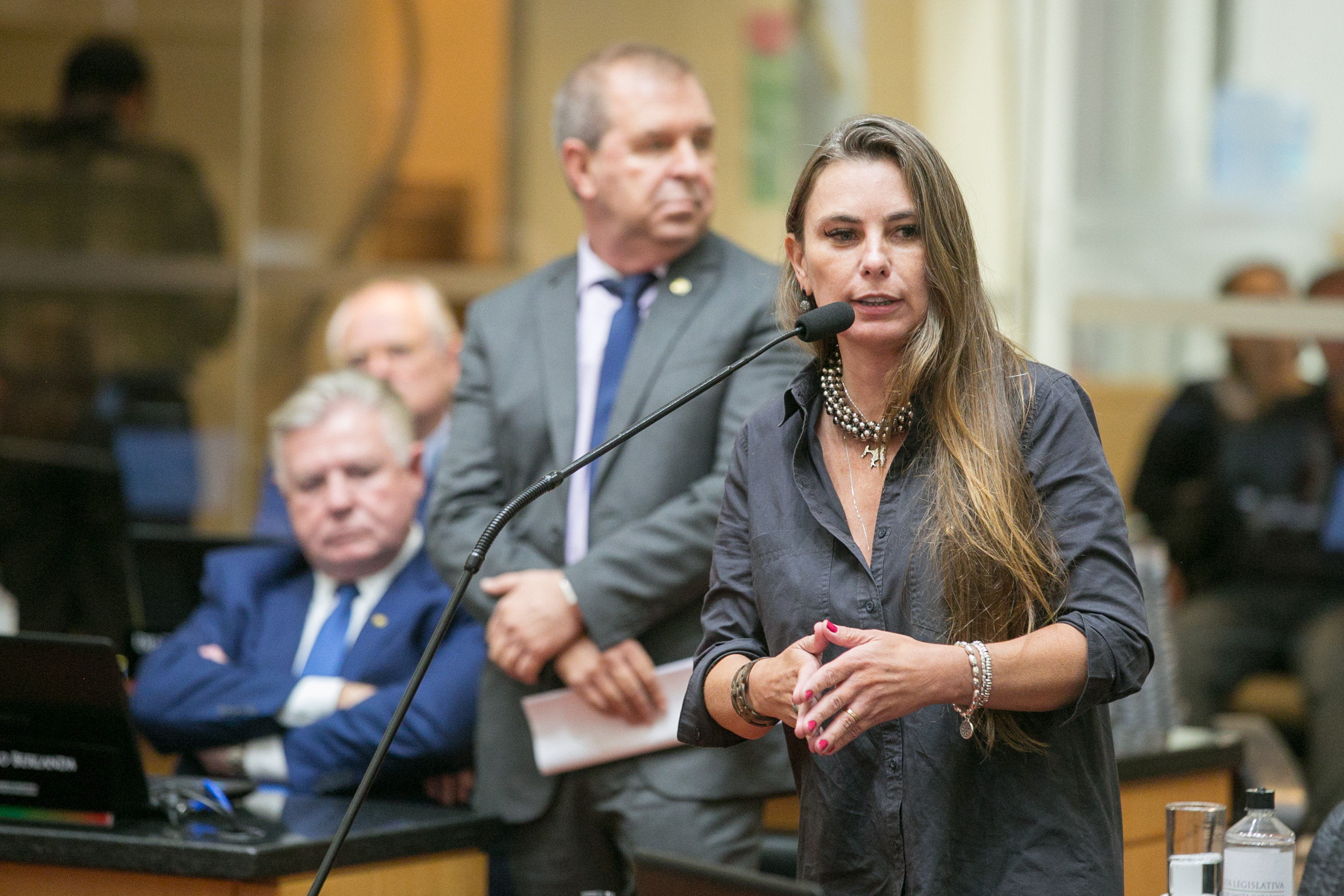 Deputada Paulinha (Podemos)