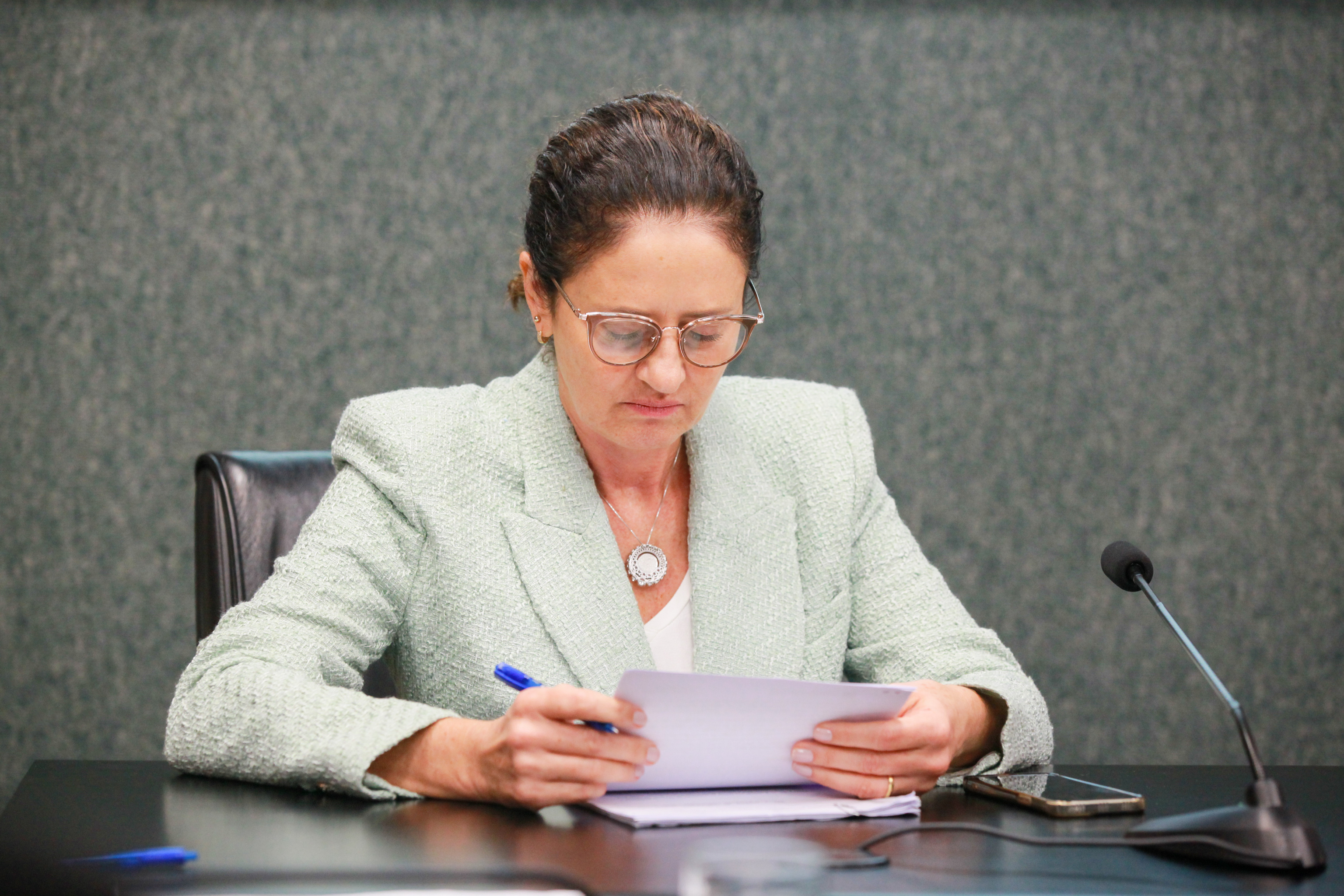 - Deputada Marlene Fengler (PSD)