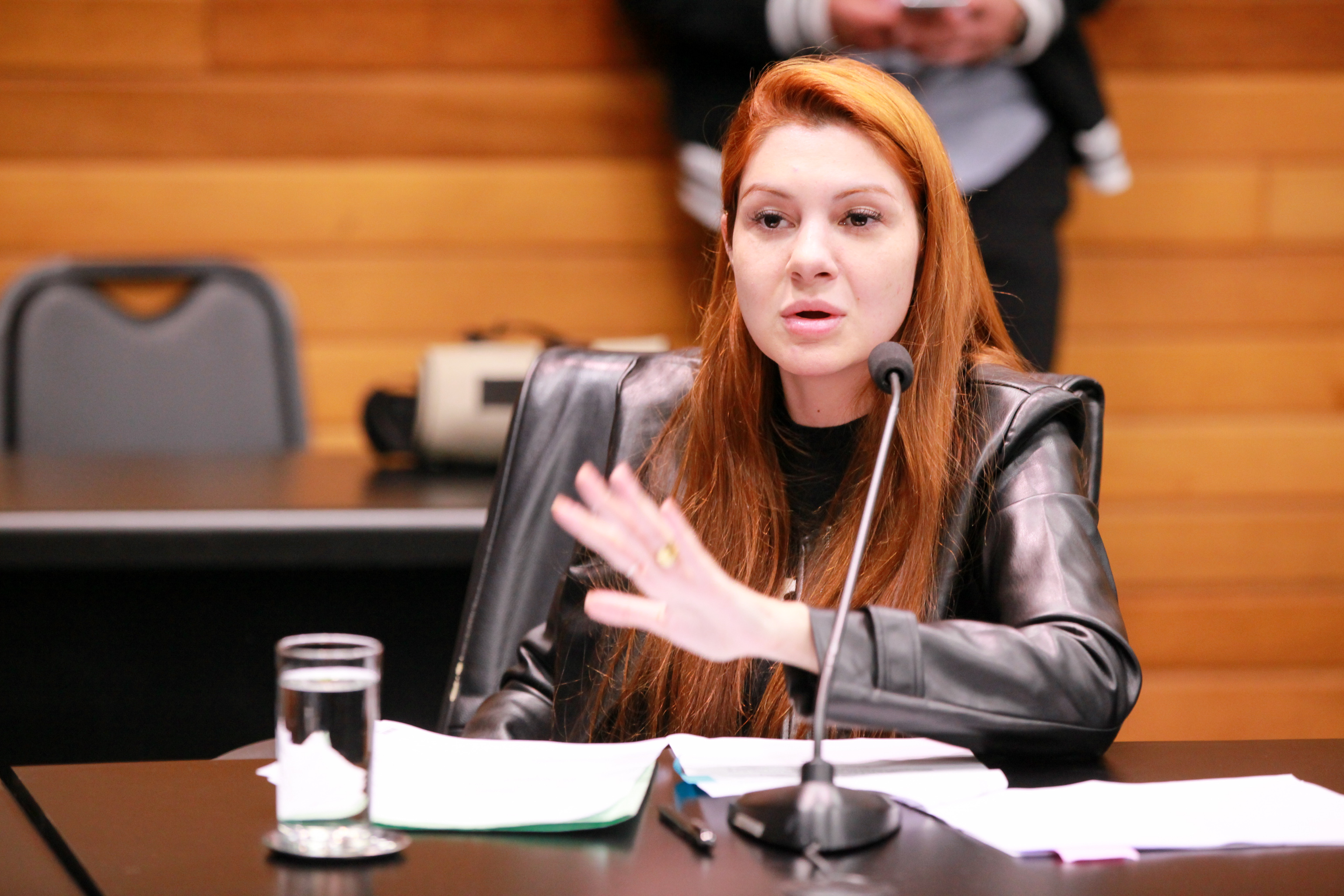 - Deputada Ana Caroline Campagnolo (PL)
