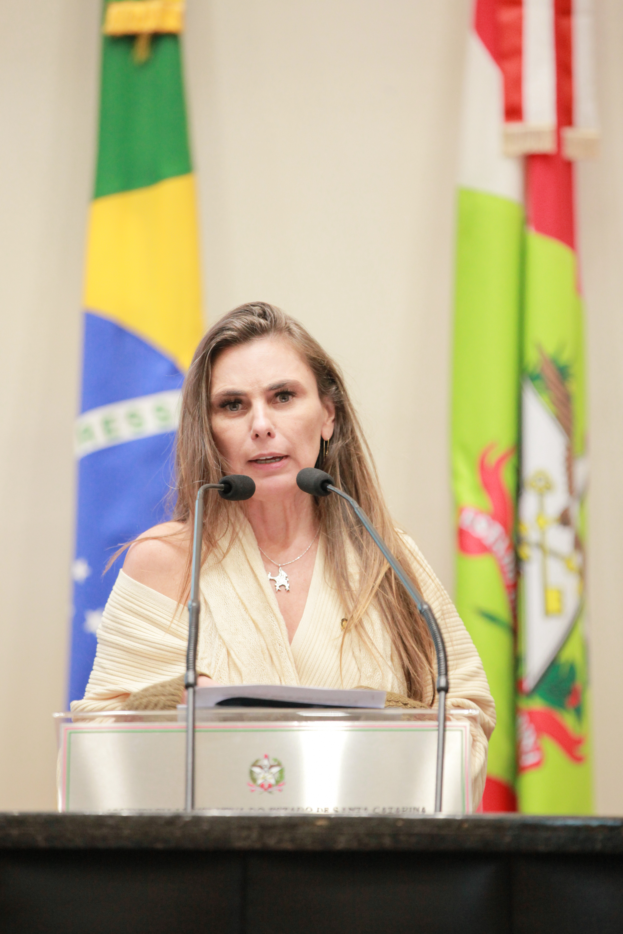 - Deputada Paulinha (Podemos)