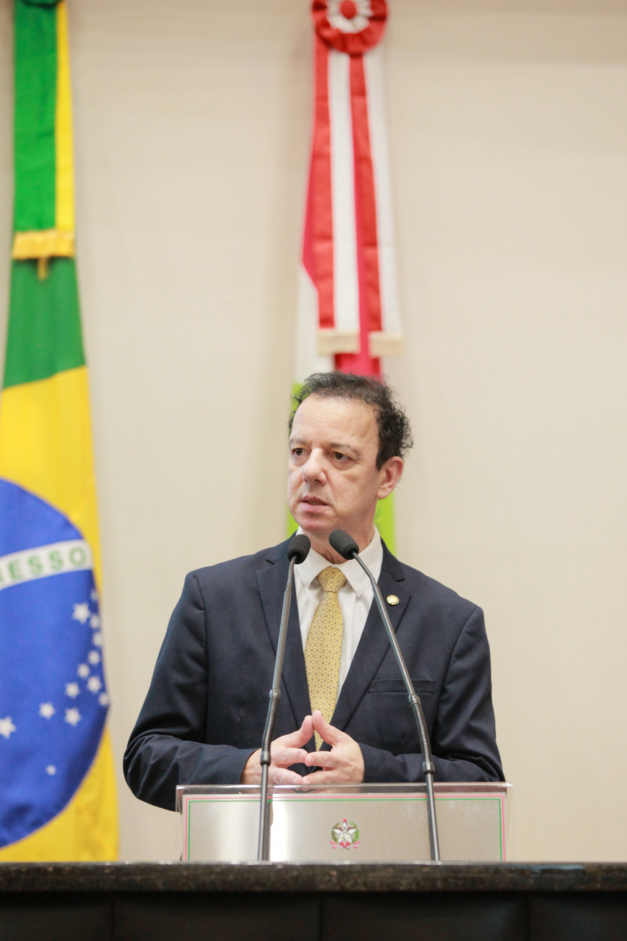 - Deputado Ismael Santos (PSD)