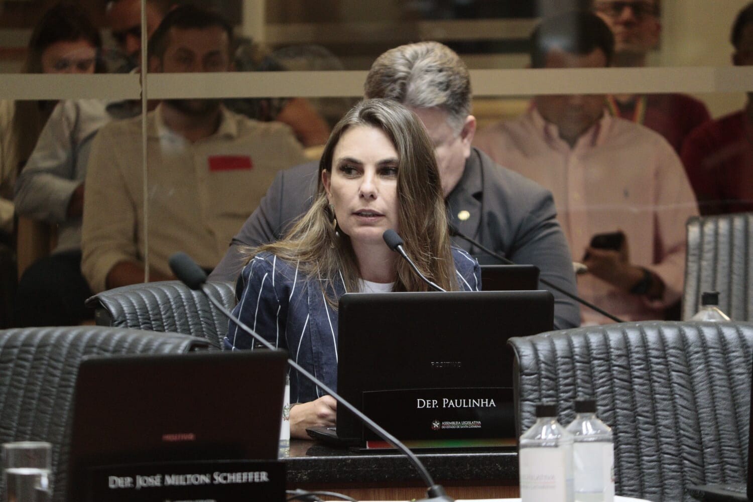 Deputada Paulinha